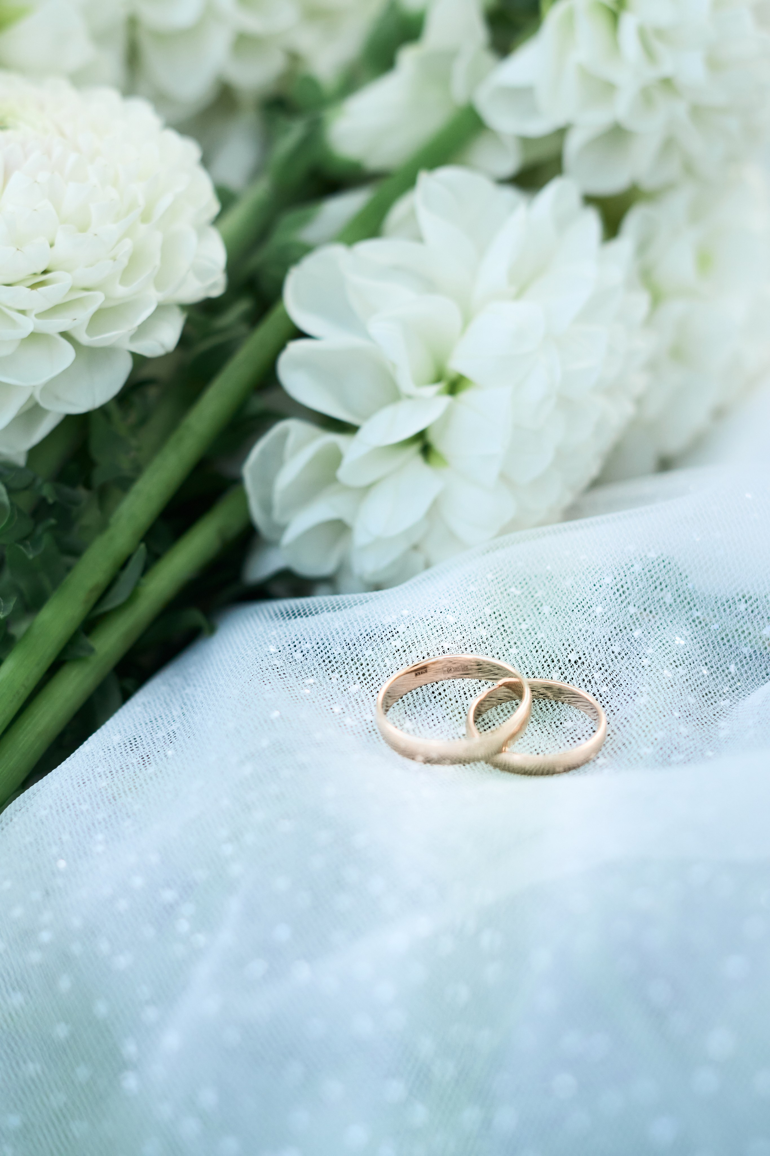 Свадебная фотосъемка. Парк в Коломне. Фотограф Коломна Илья Богатырев