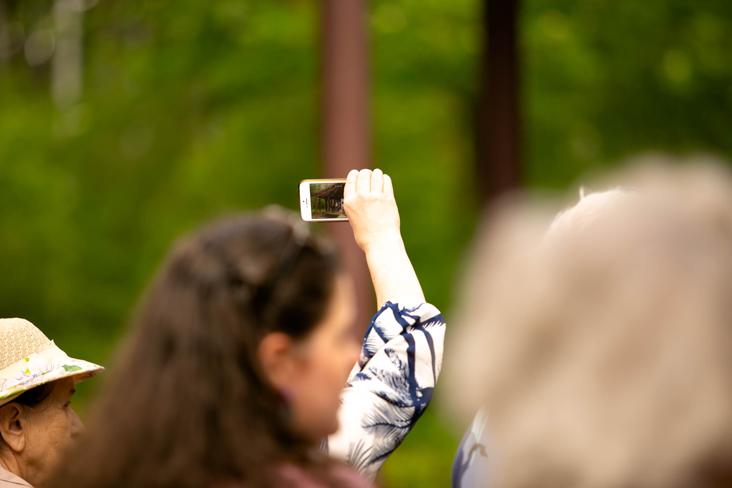 Музыкальный звездопад. Главная