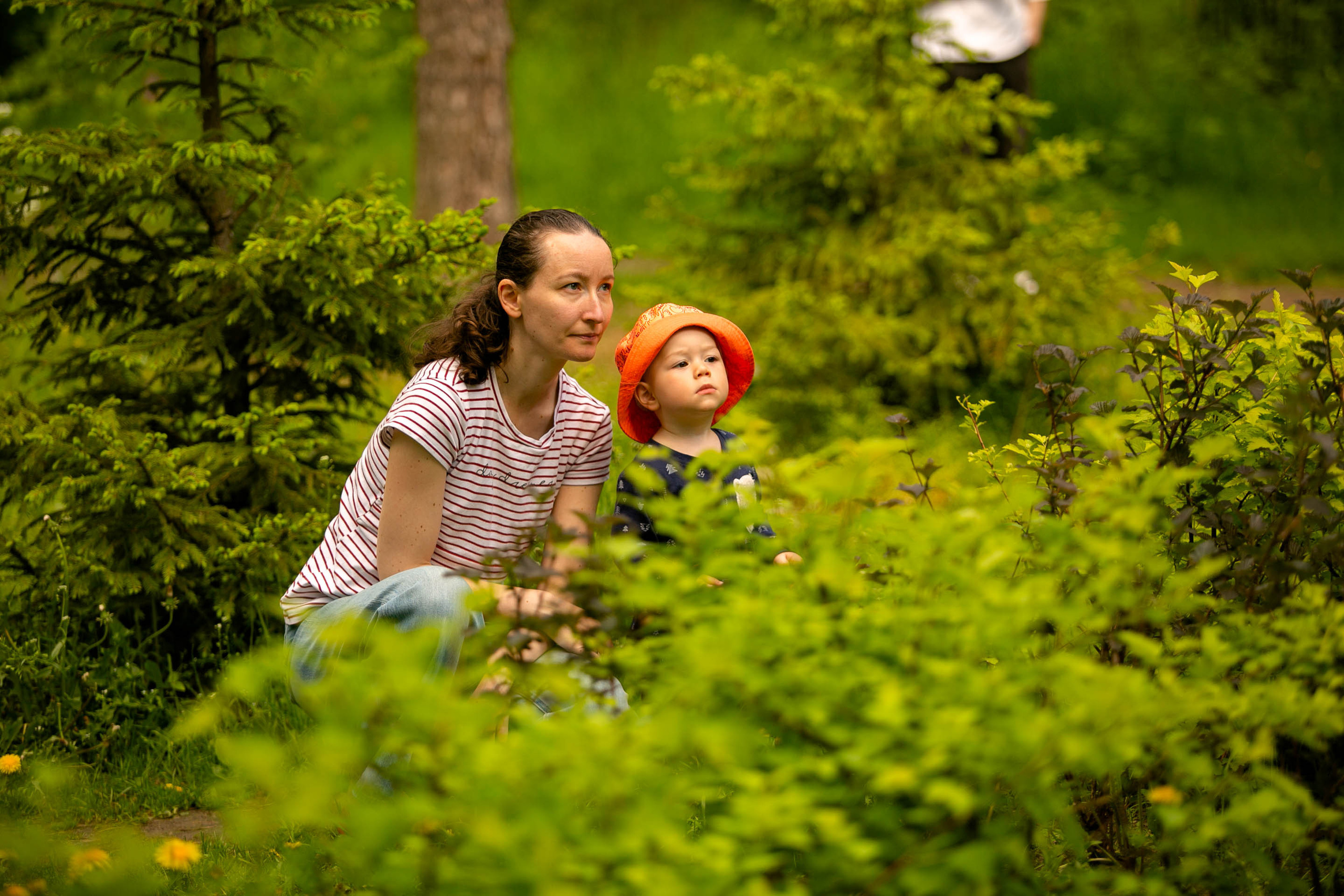 Музыкальный звездопад. Главная