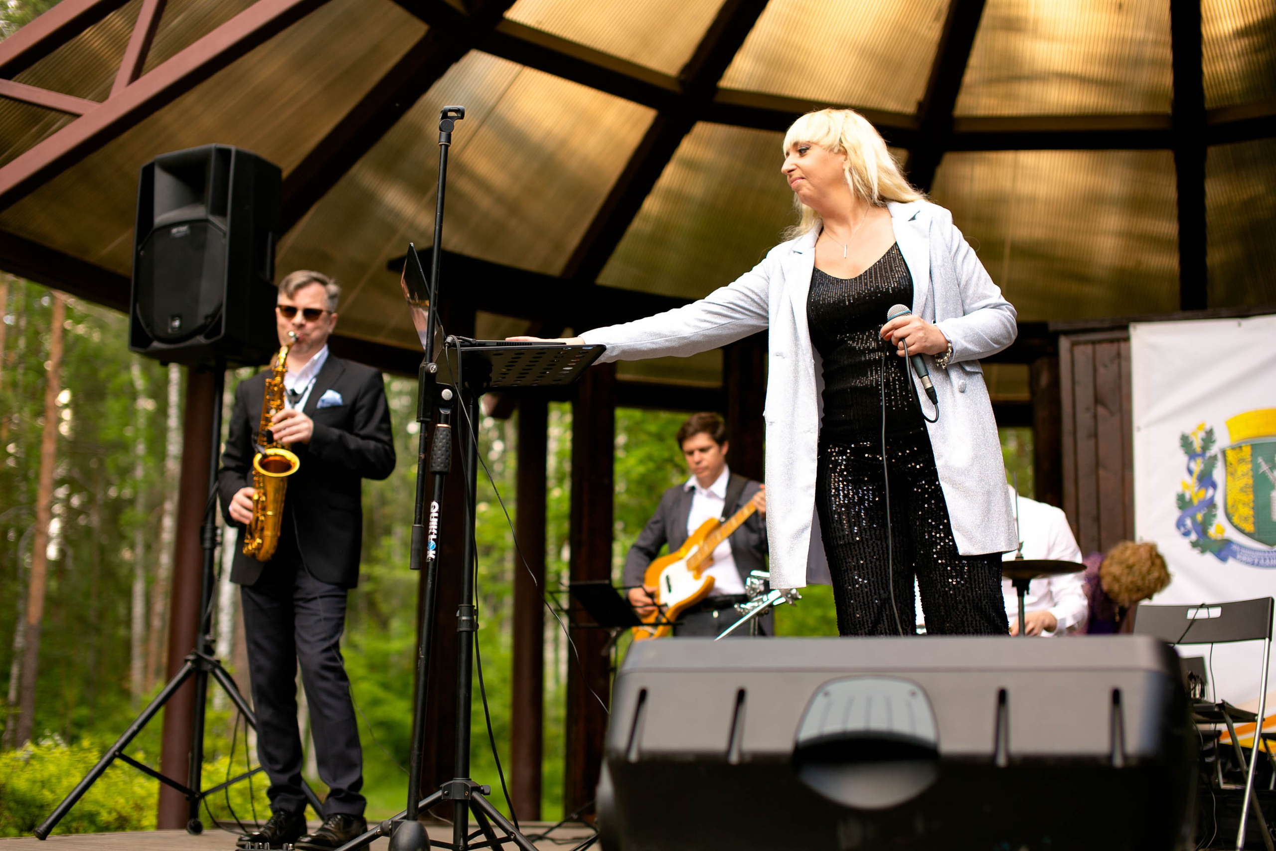 Музыкальный звездопад. Главная