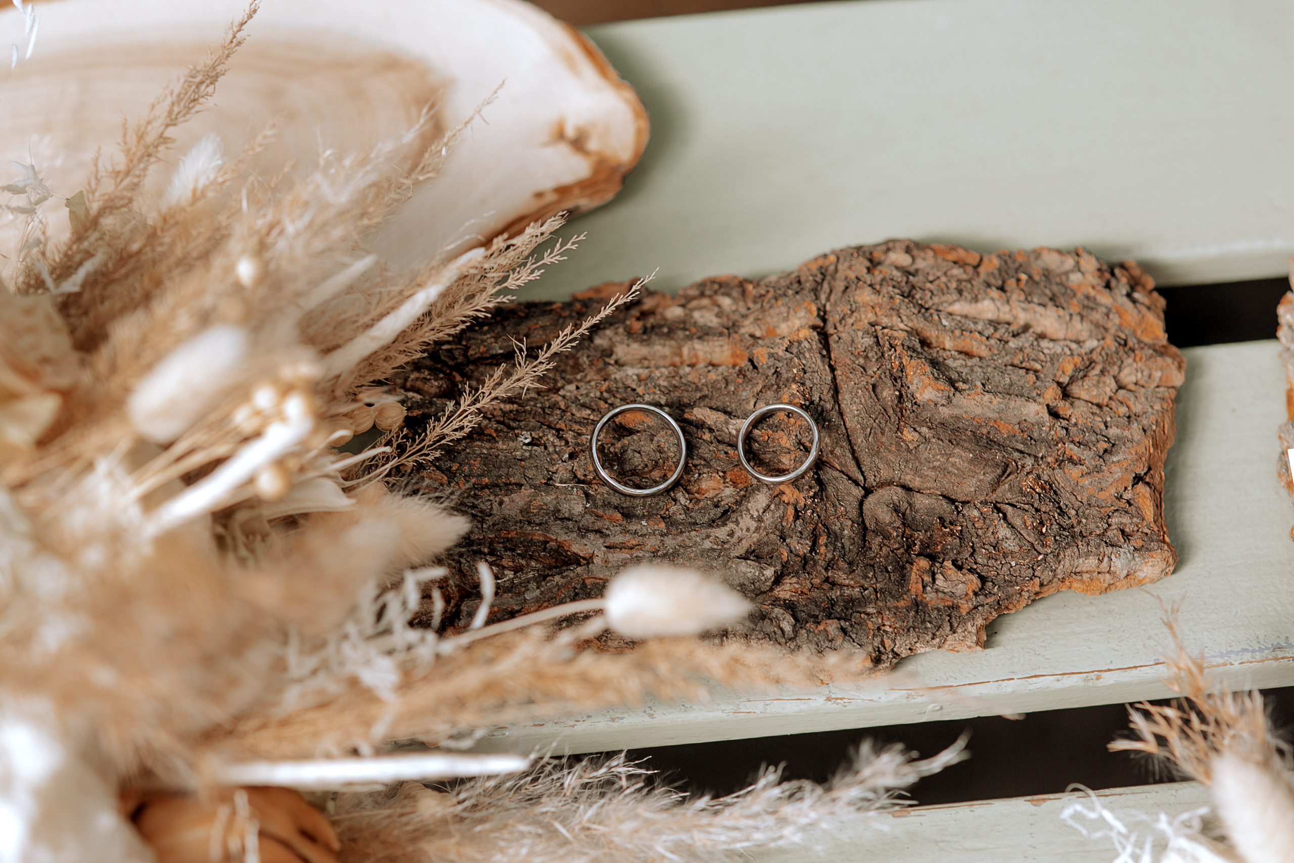 Свадебная история (Оранжерея Таврического сада). Главная