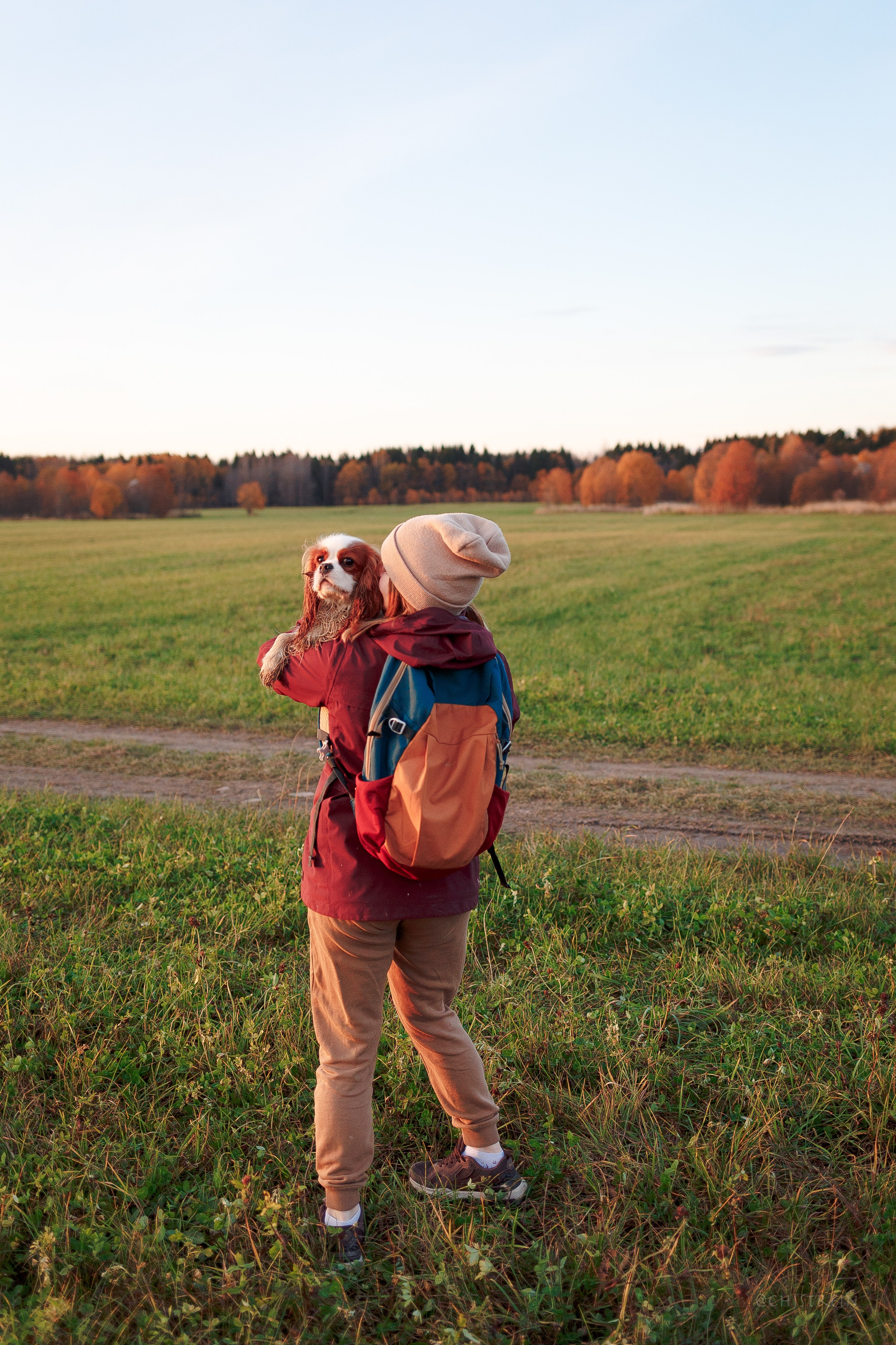 Октябрьский закат в полях. Алина и Лео. Фотограф-анималист Наталия Чистюхина в г. Сосновый Бор и ЛО