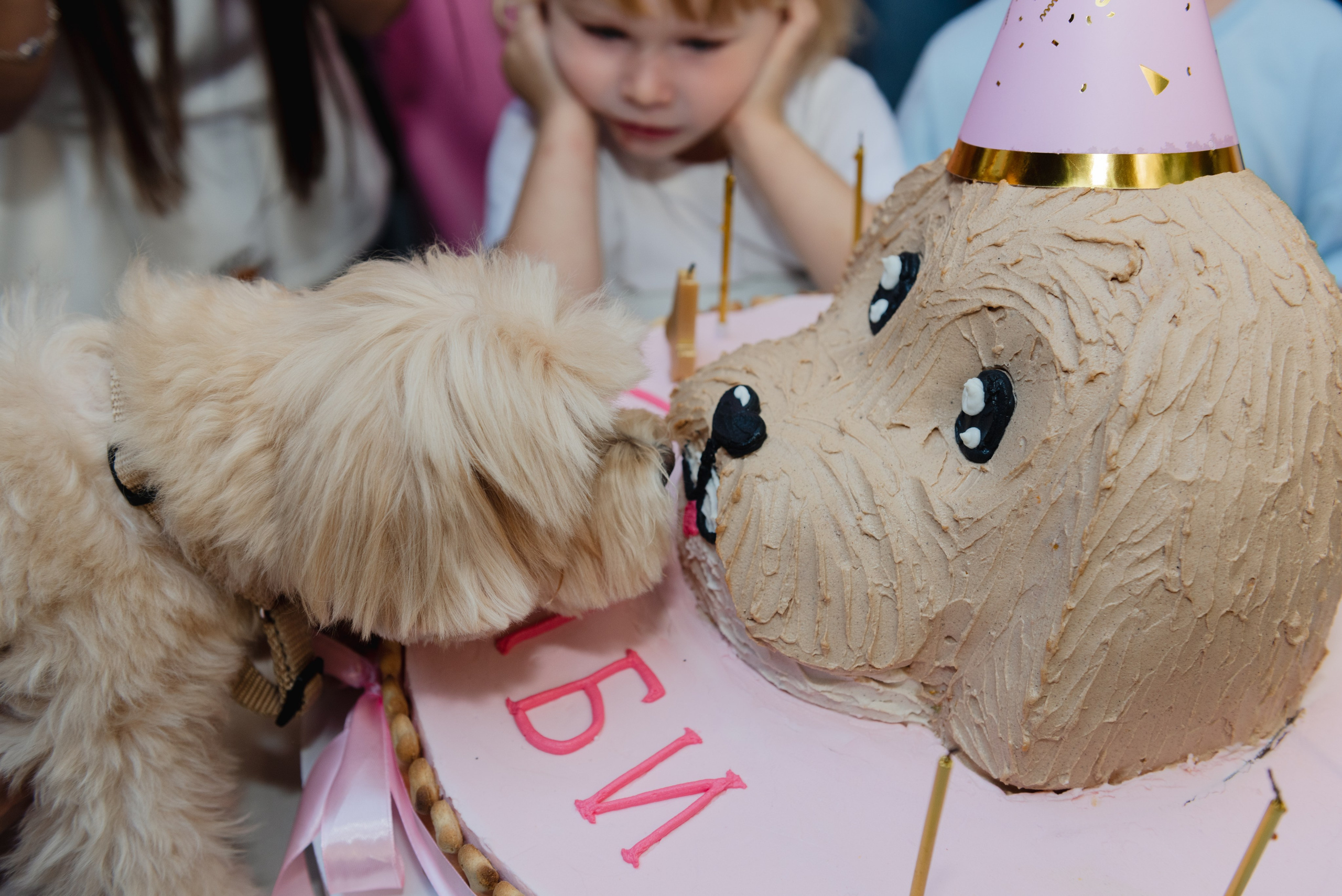 Pets. Фотограф в Москве Daria Lens