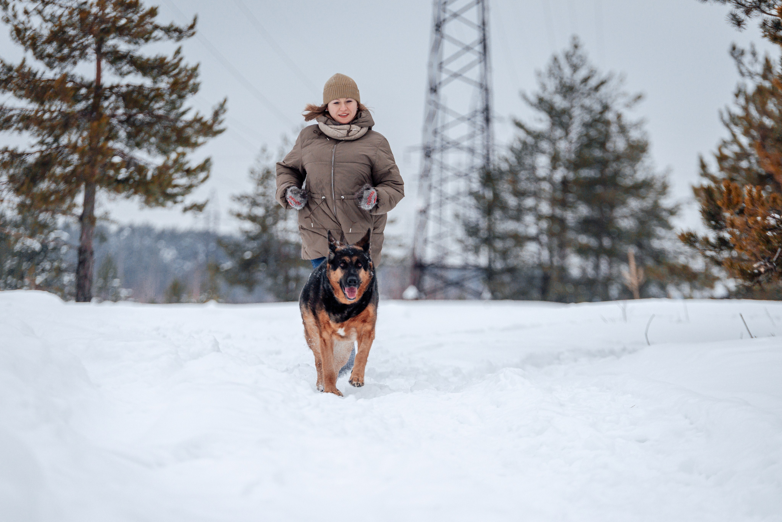 Светлана, Альфа и кошки ✨. Фотограф-анималист Анастасия Парфенова|Екатеринбург