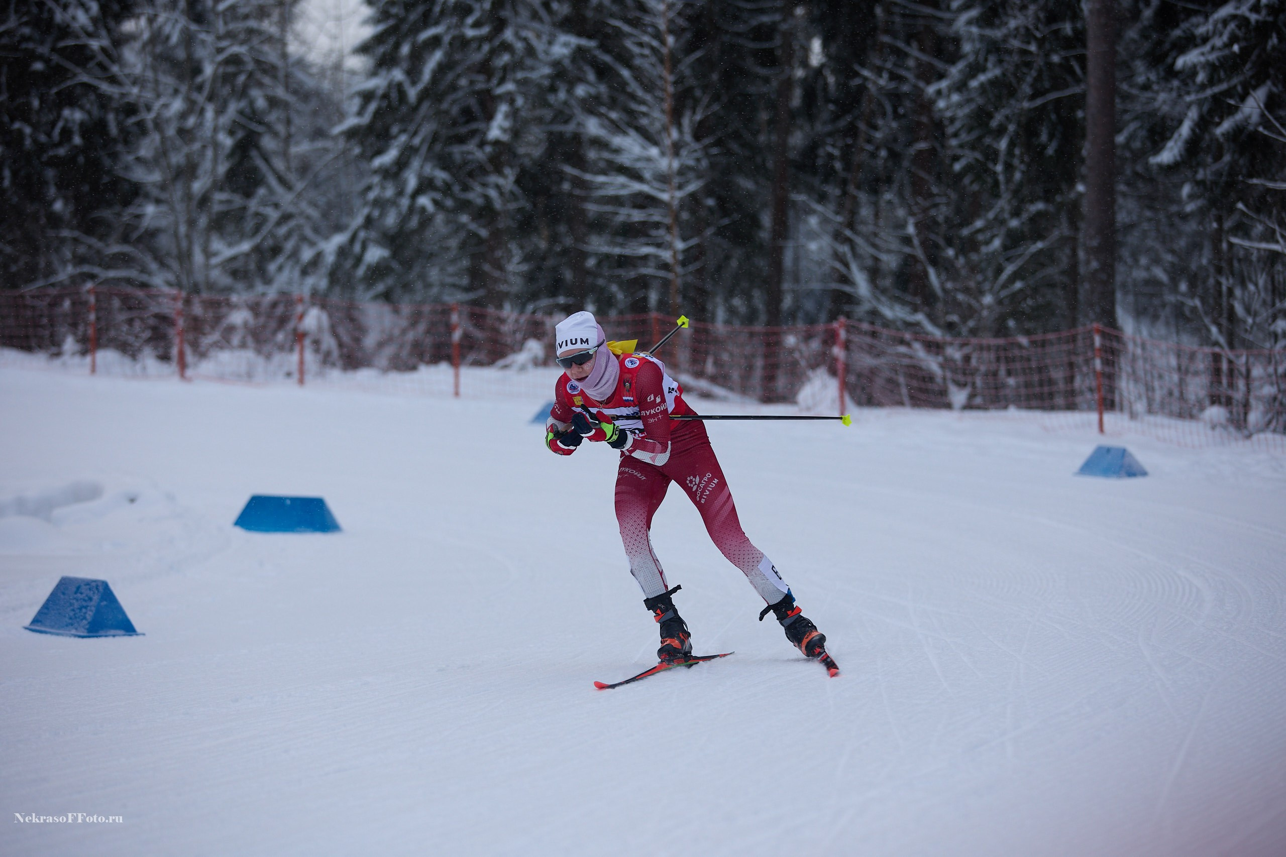 Кубок России по Лыжным гонкам. Спортивный фотограф Некрасов Денис