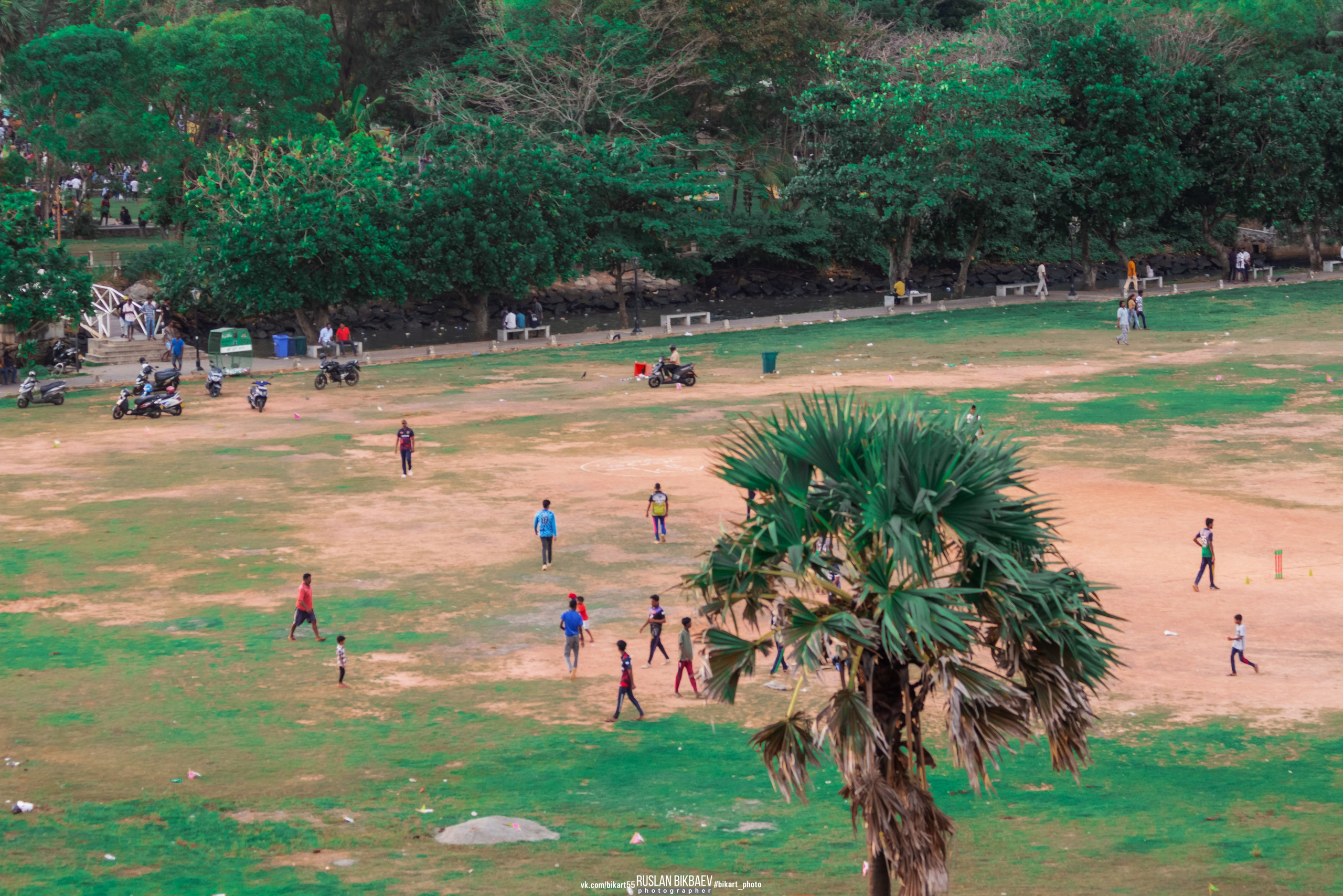 ШРИ-ЛАНКА 2025 / SRI LANKA 2025. Главная