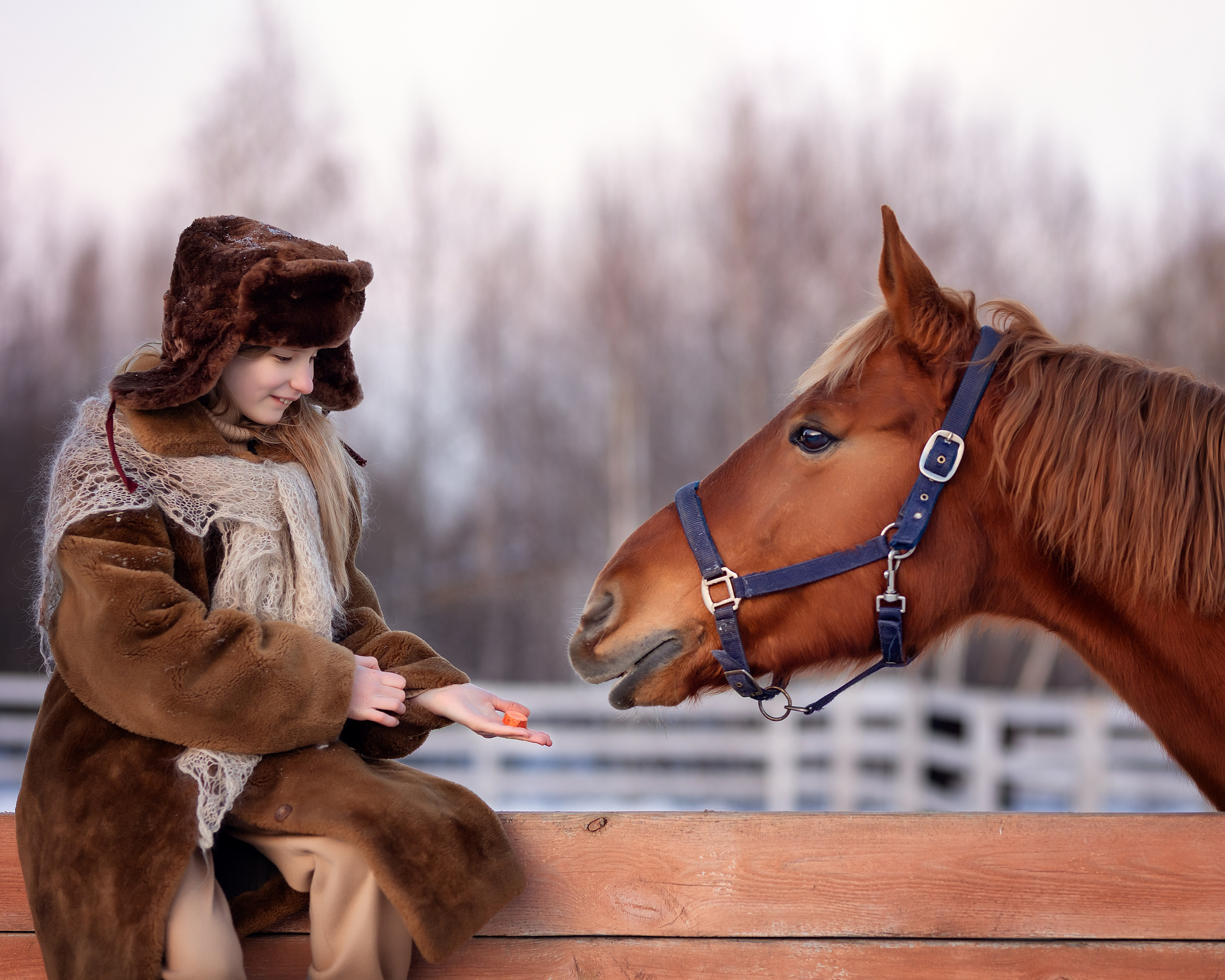 Настя и пони. Детский и семейный фотограф в Челябинске Мандрикова Светлана