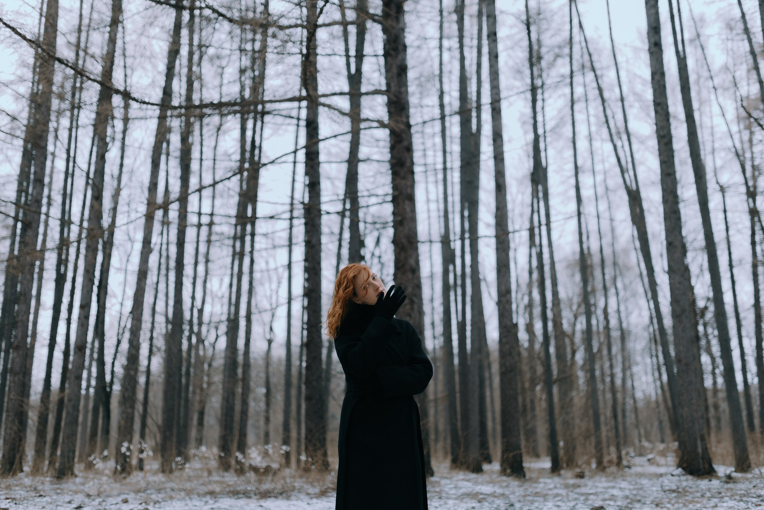 🕸️. Фотограф Вика Про