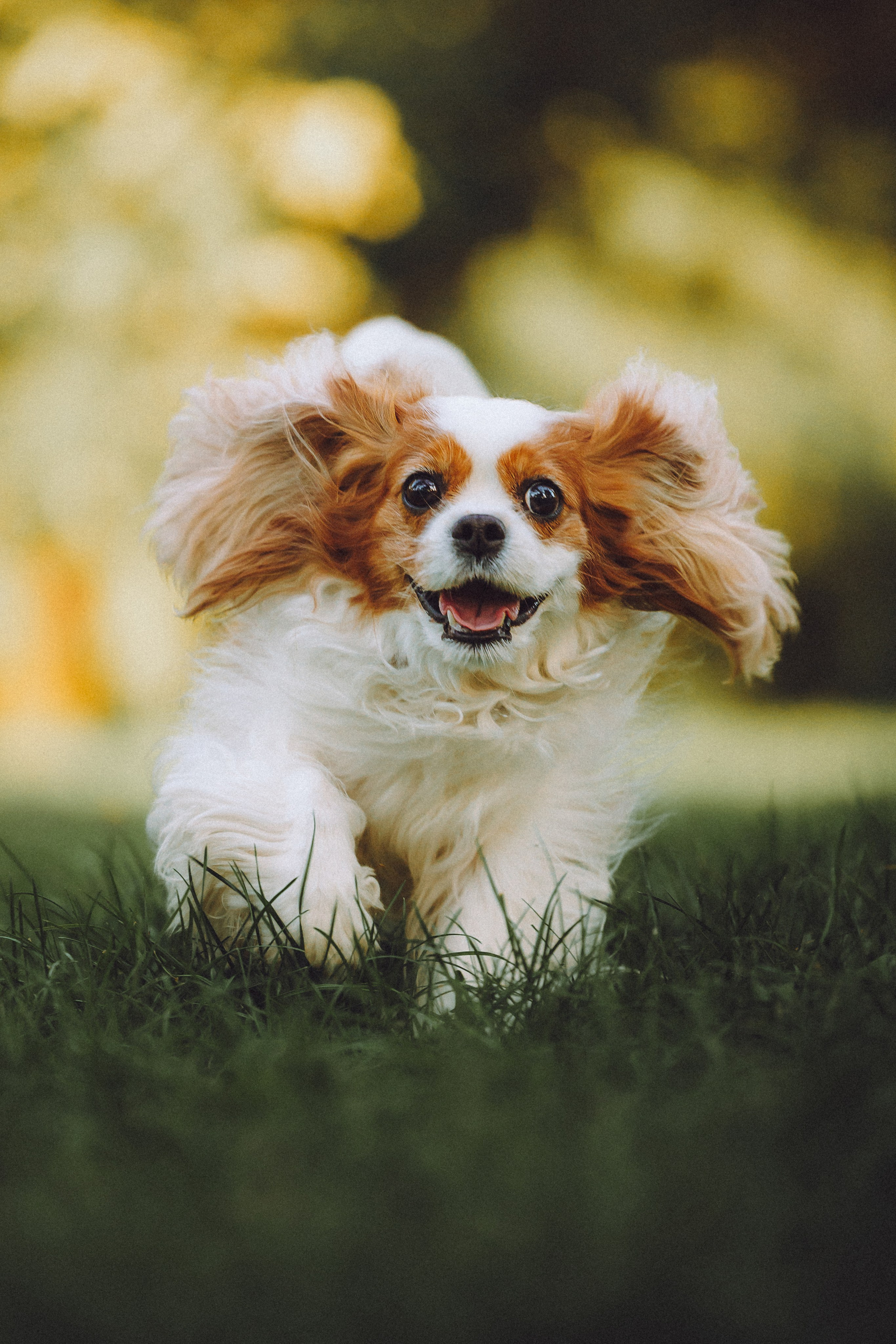 Наташа и Вики