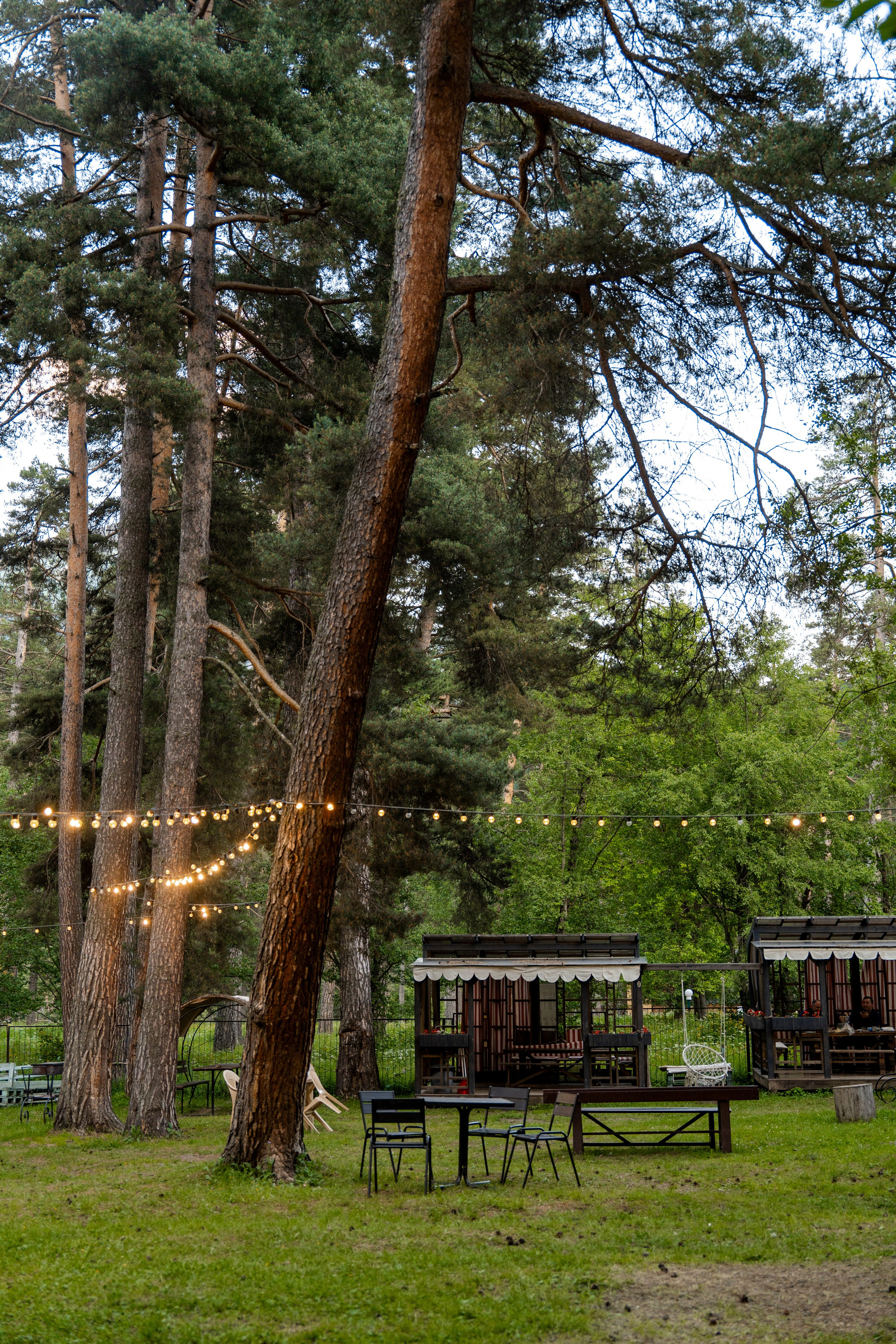 Green Park. Фотограф и видеограф Елена Хмелевская