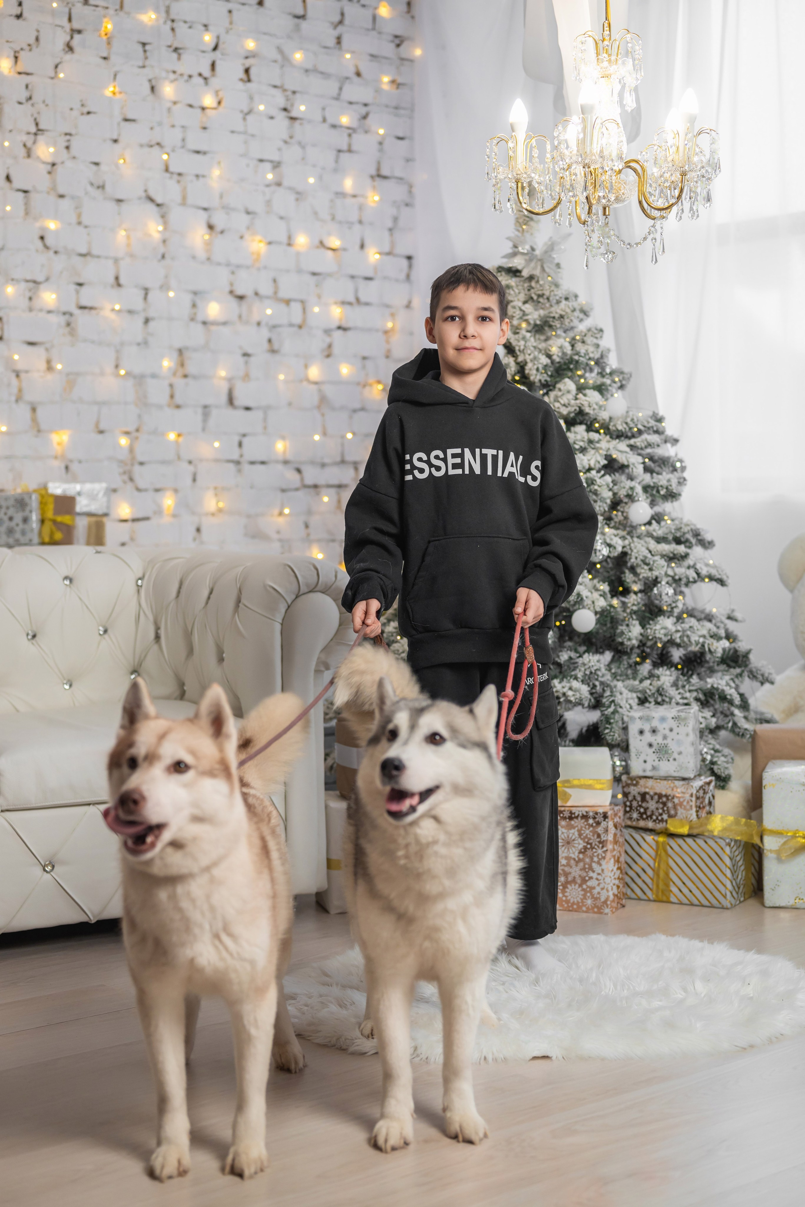 Фотопроект с хаски. Фотограф в городе Салават