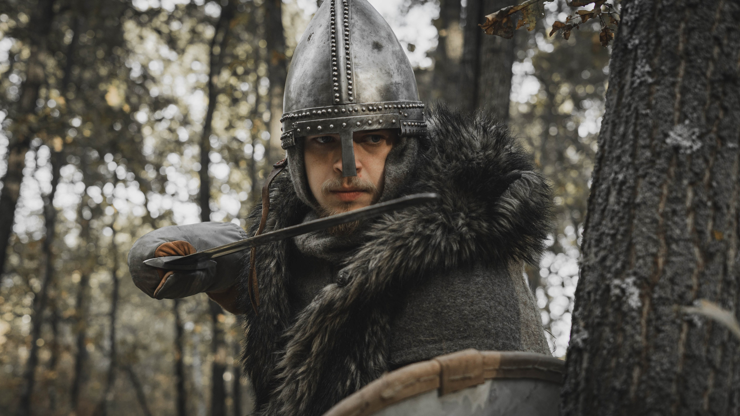 Викинг. Ab extra