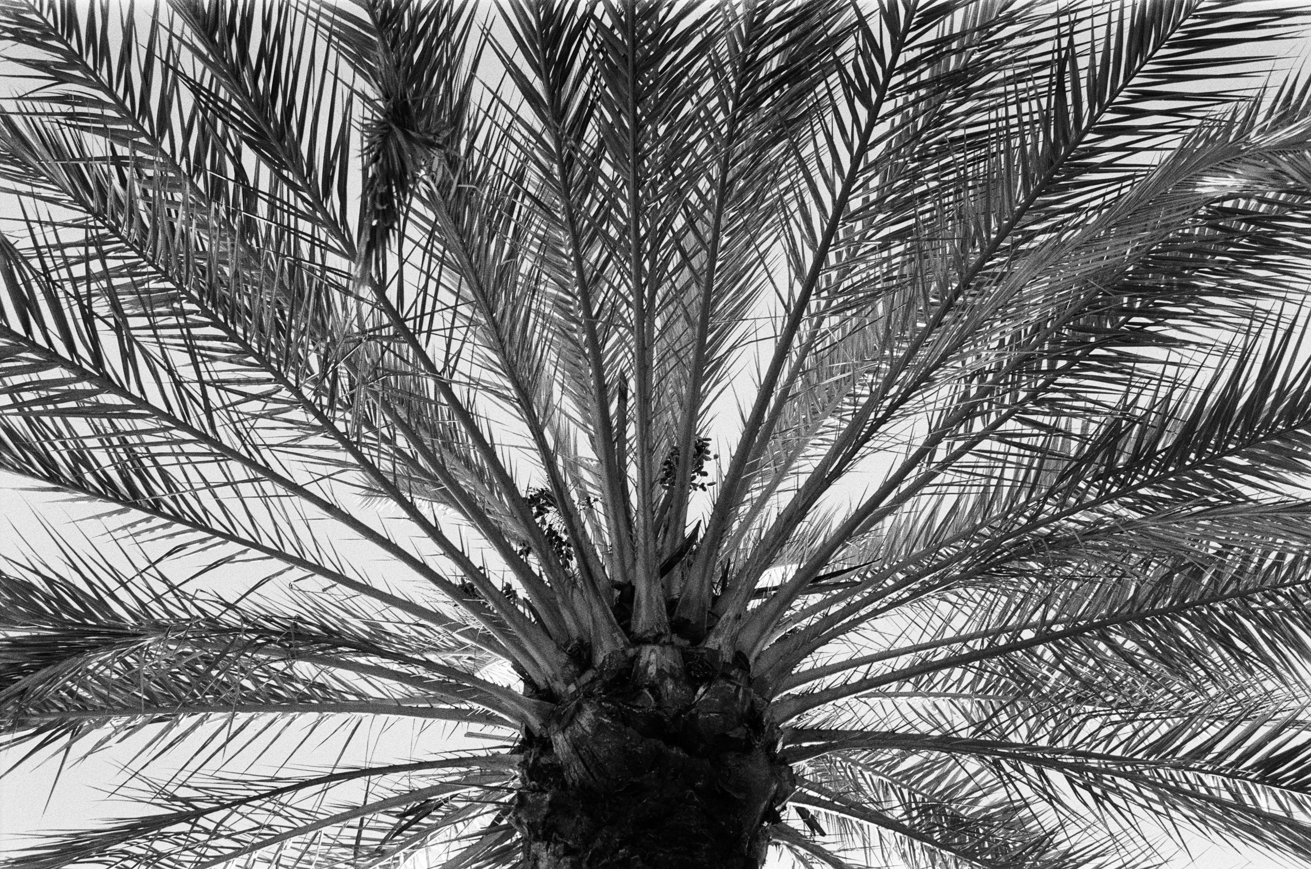 Spanish sahara // spain, granada. EVER EXPOSED