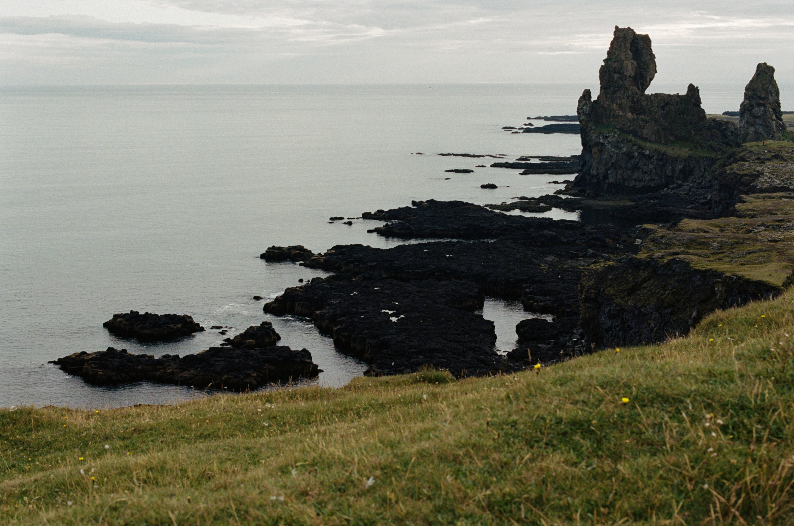 Vor i vaglaskogi // iceland, 574 utnesvegur. EVER EXPOSED