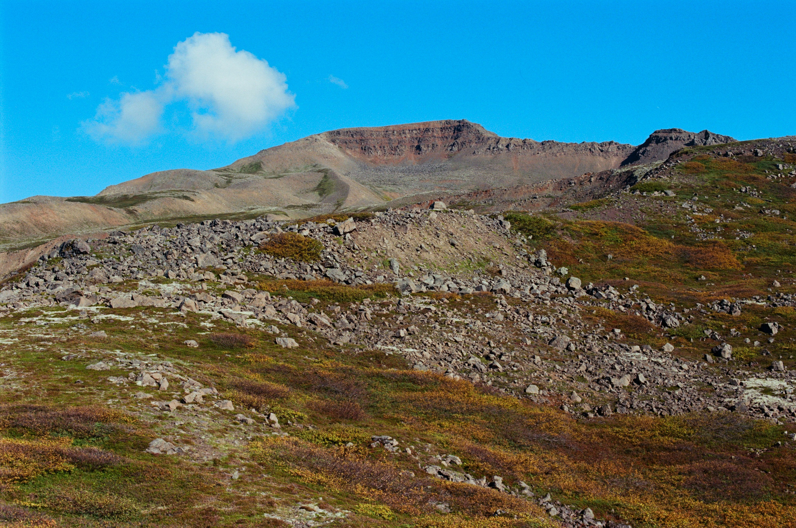 Bloodline // iceland, 76. EVER EXPOSED