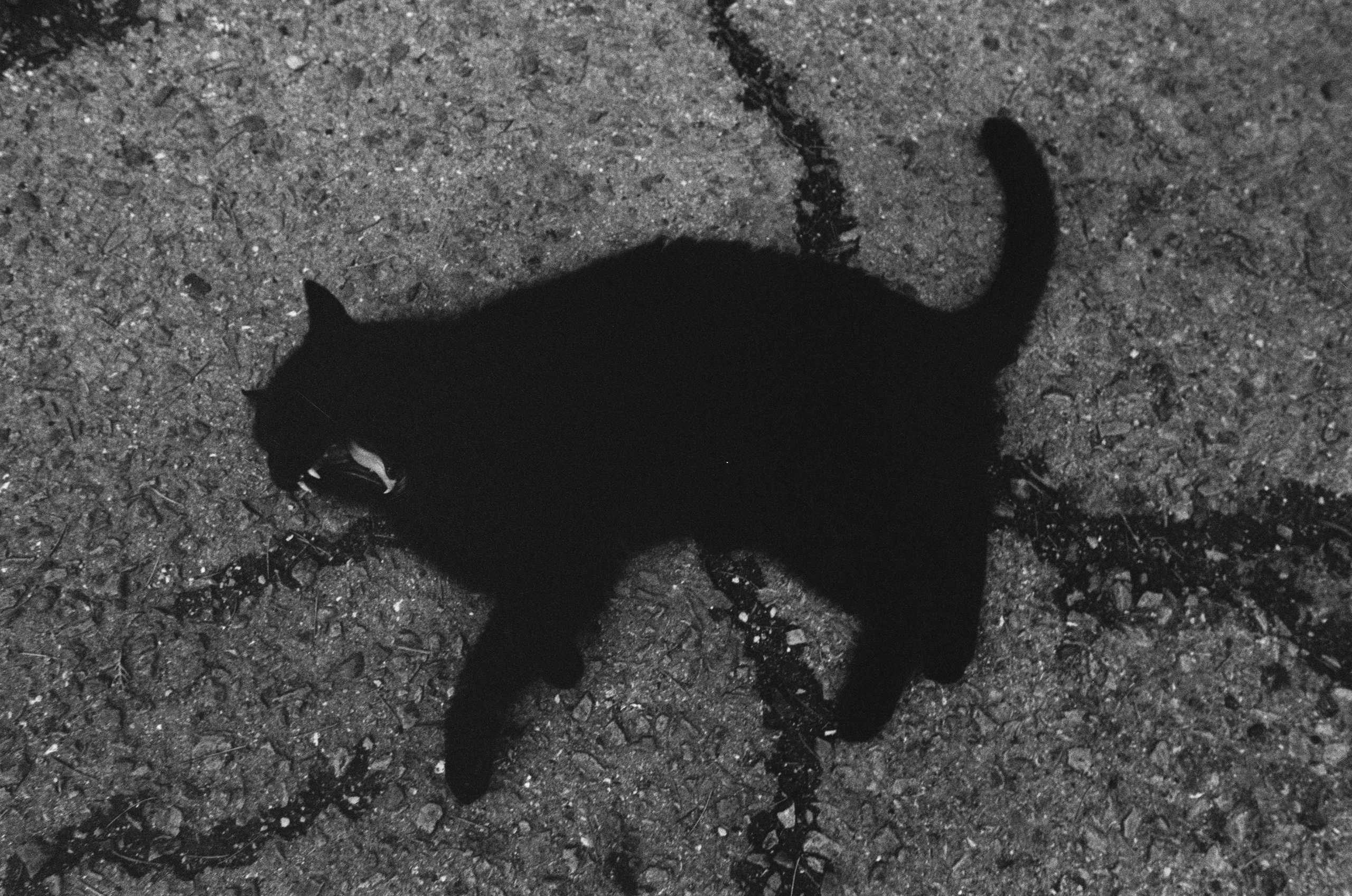 Oblomki chuvstv // ukraine, crimea. EVER EXPOSED