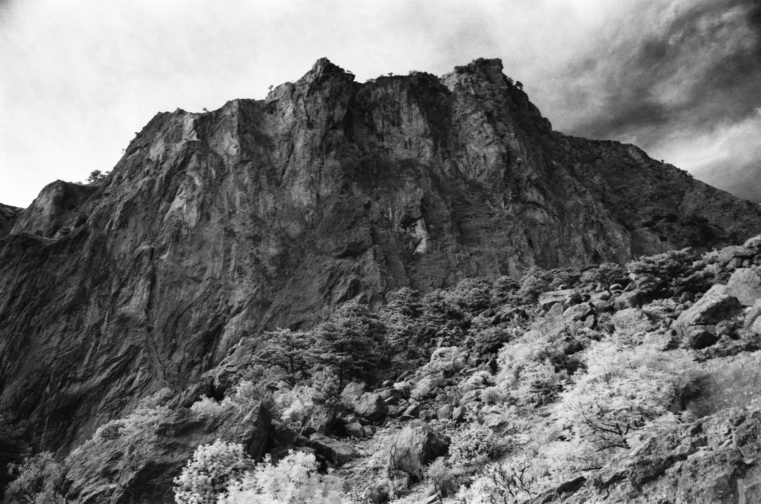 Point of no reply // ukraine, crimea IX. EVER EXPOSED