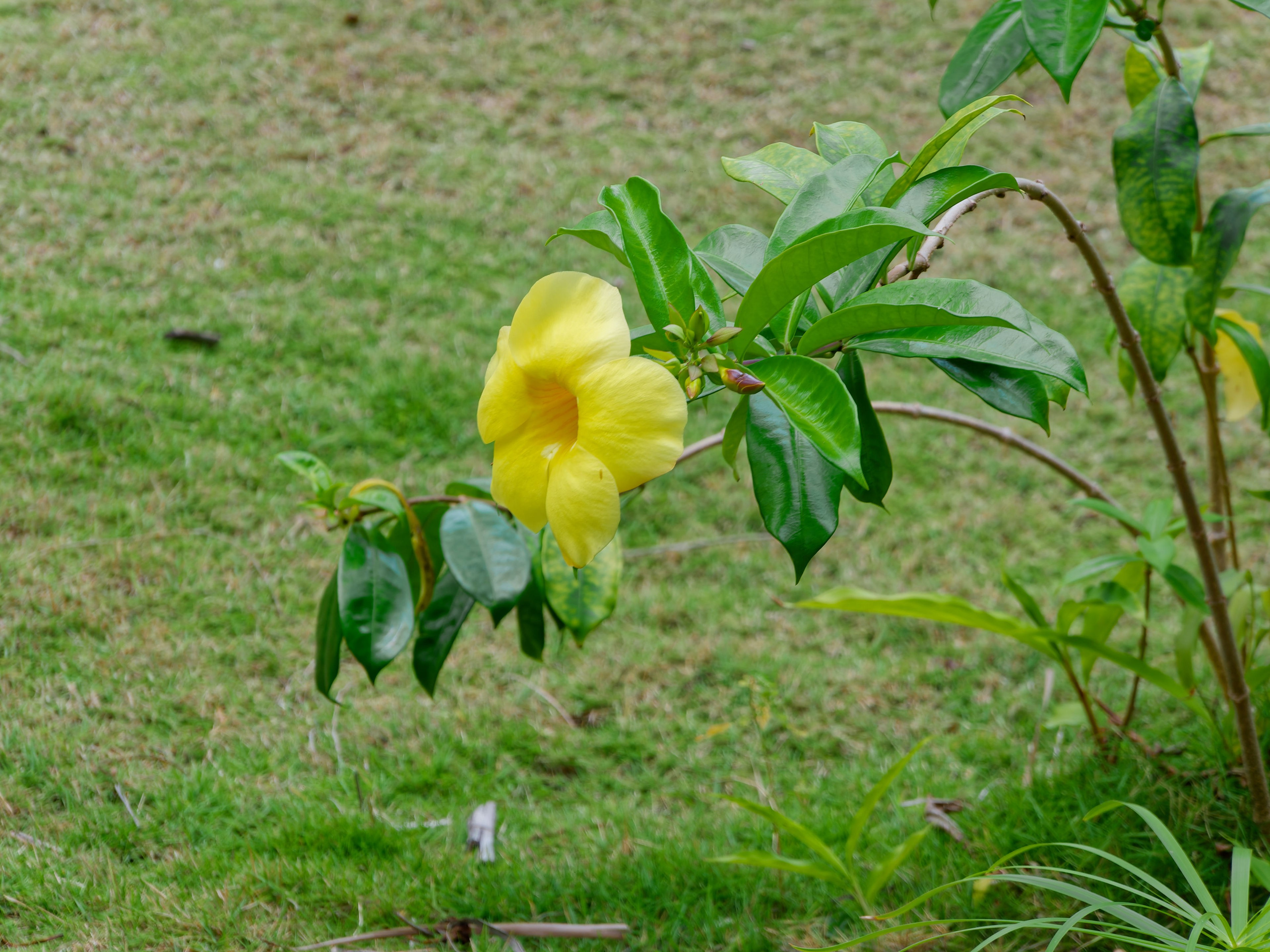 Хайнань 2026, первые впечатления. Фотопрогулки по Миру