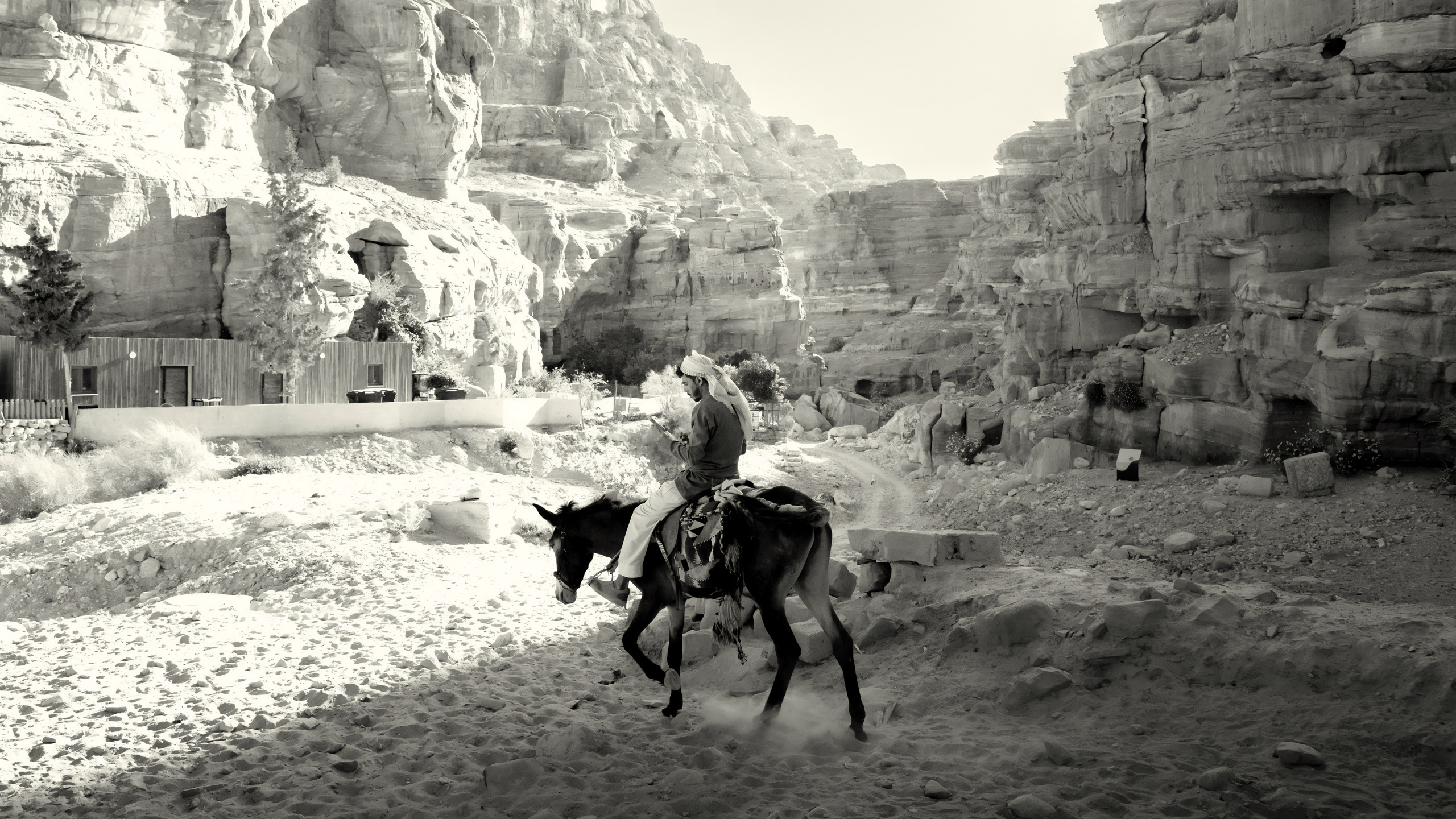 Турция, Греция, Иордания. Фотограф в Хабаровске. Фотография за 24 часа