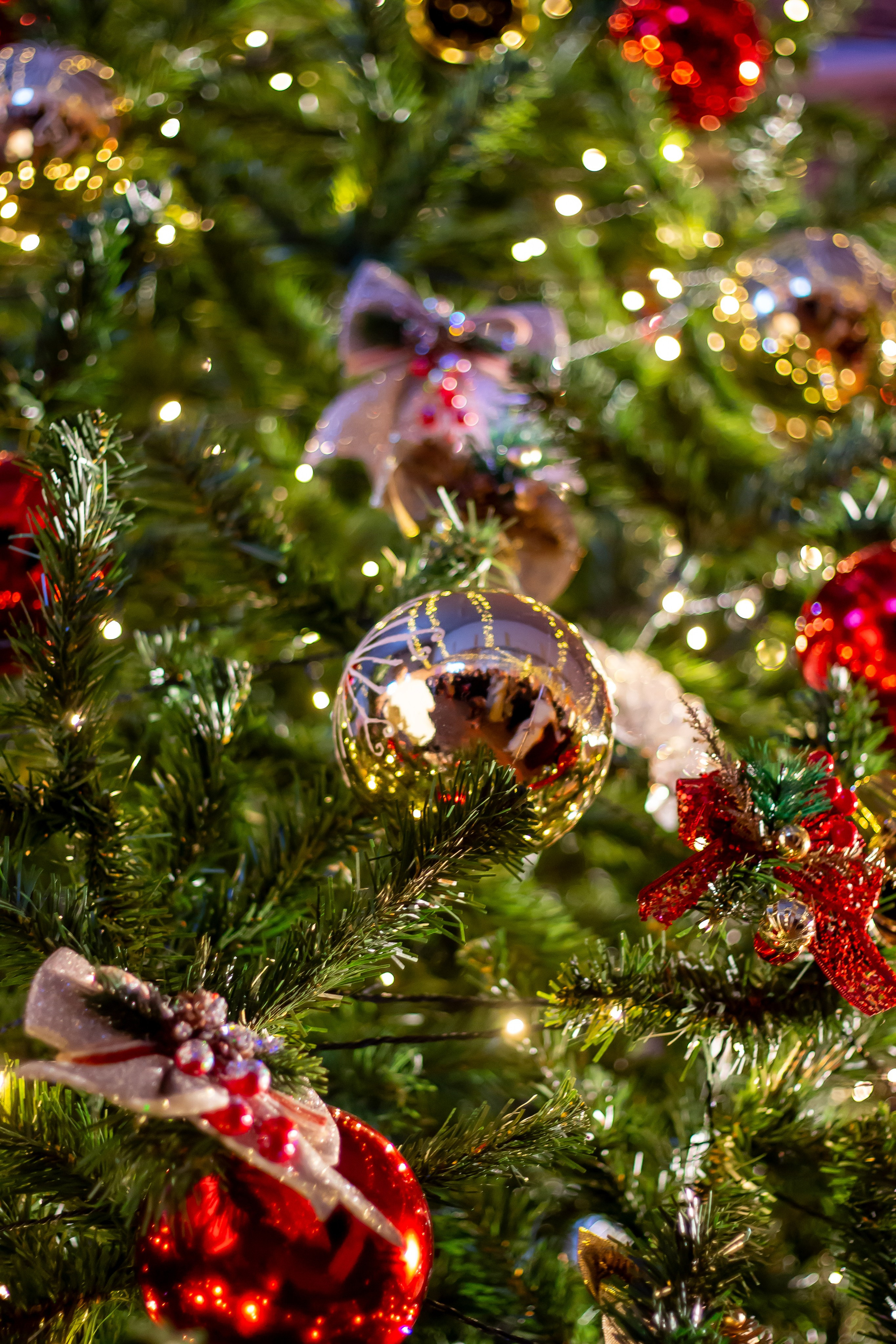 Зимний бал ГГТУ 2025. Фотограф • Орехово-Зуево • Балашиха • TEFO