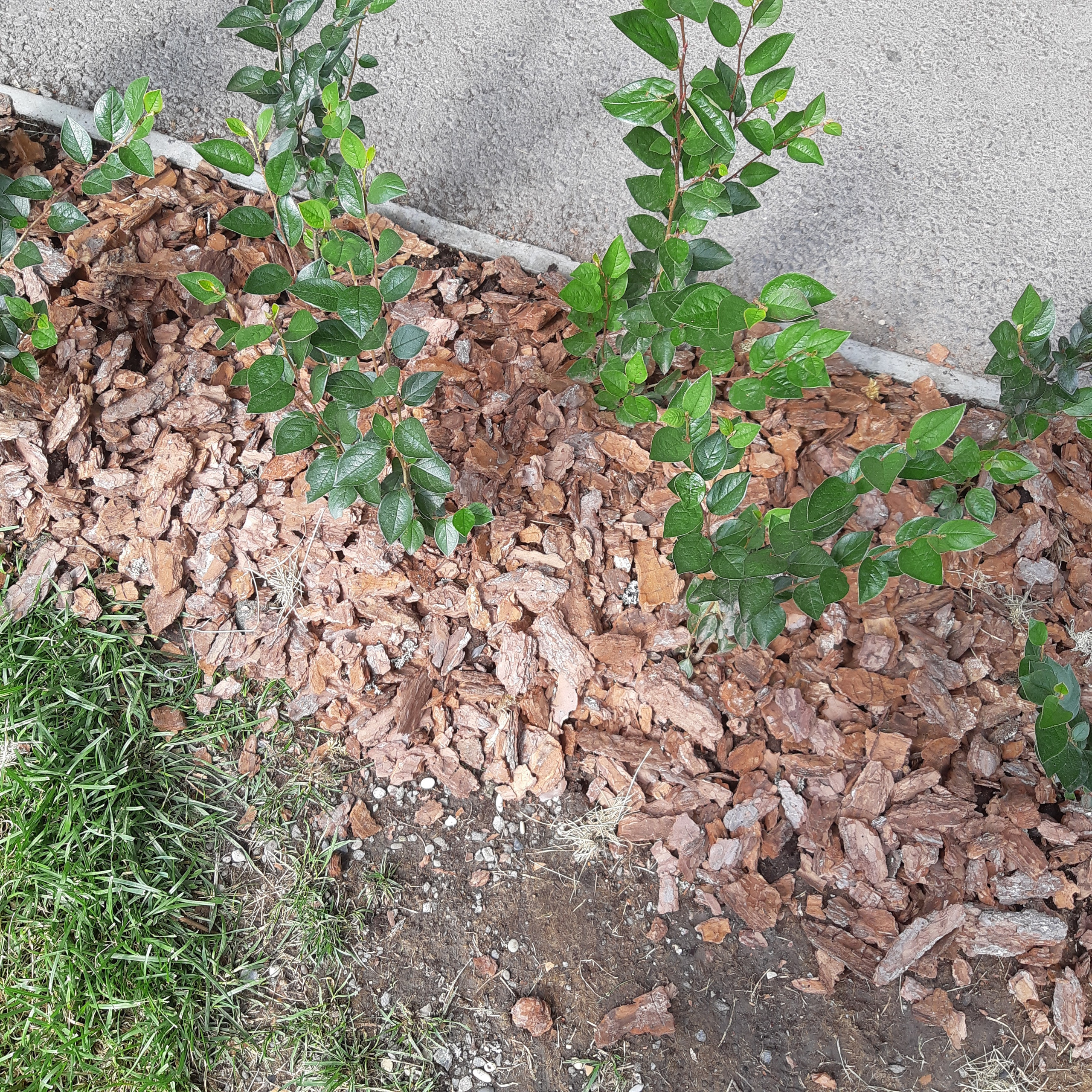 ВОЛШЕБНЫЙ АТМОФЕСТ 2025. Ландшафт Сметчик Генплан Ландшафтный дизайнер новости Екатеринбург Пермь