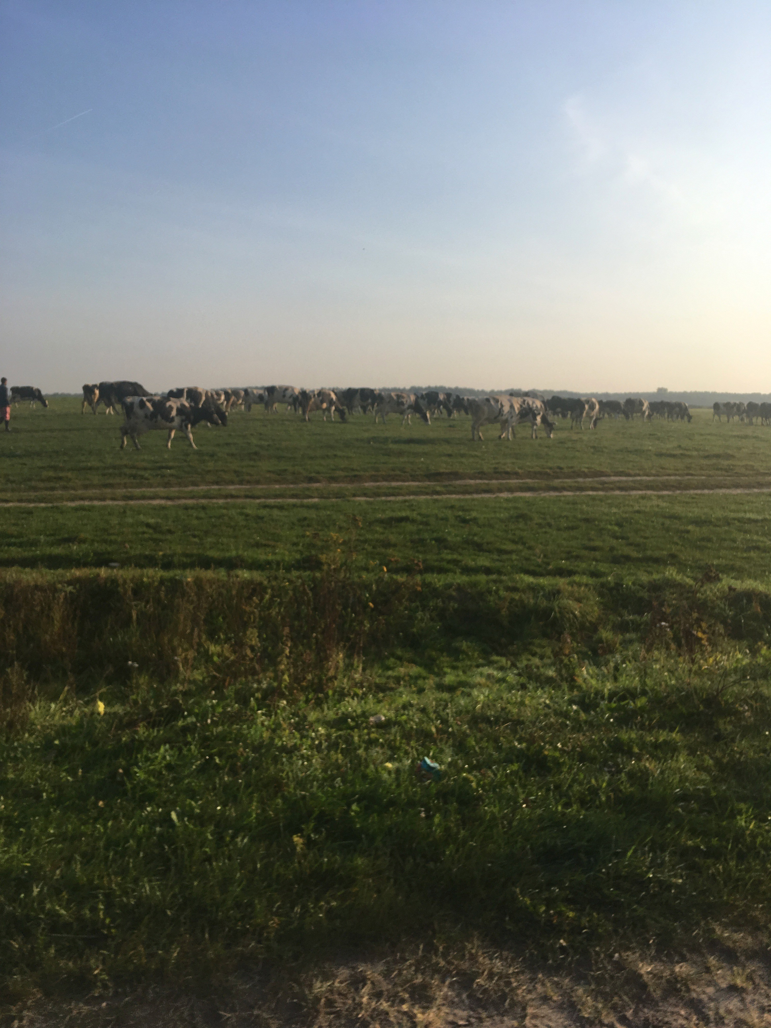 Молоди-19. Своя Мастерская