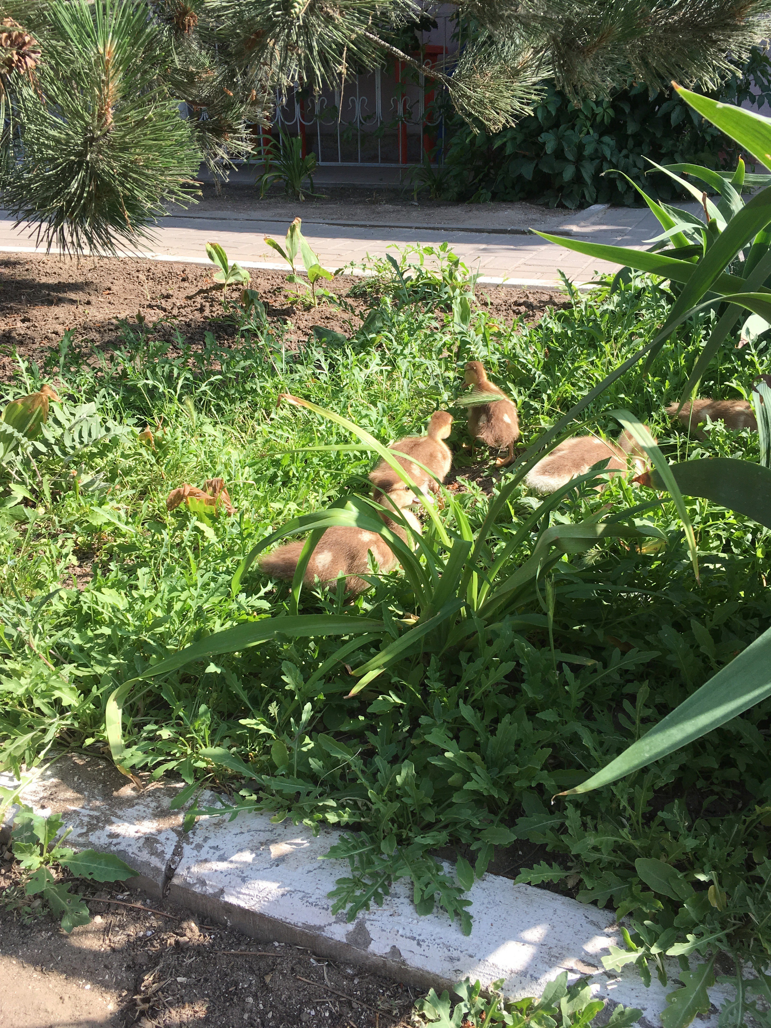 Азов -19. Своя Мастерская