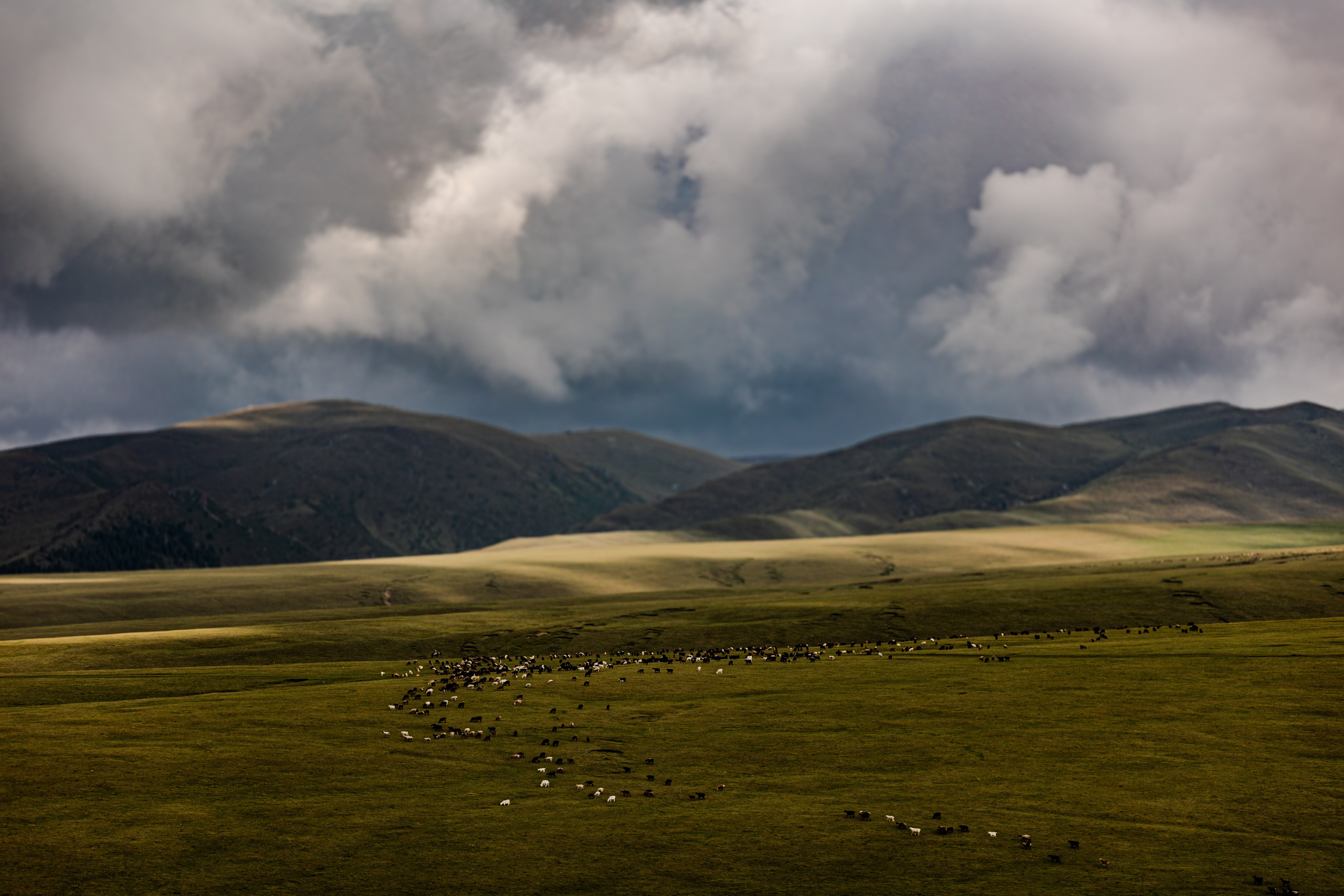 Плато Ассы. Экскурсии и туры по Алматы