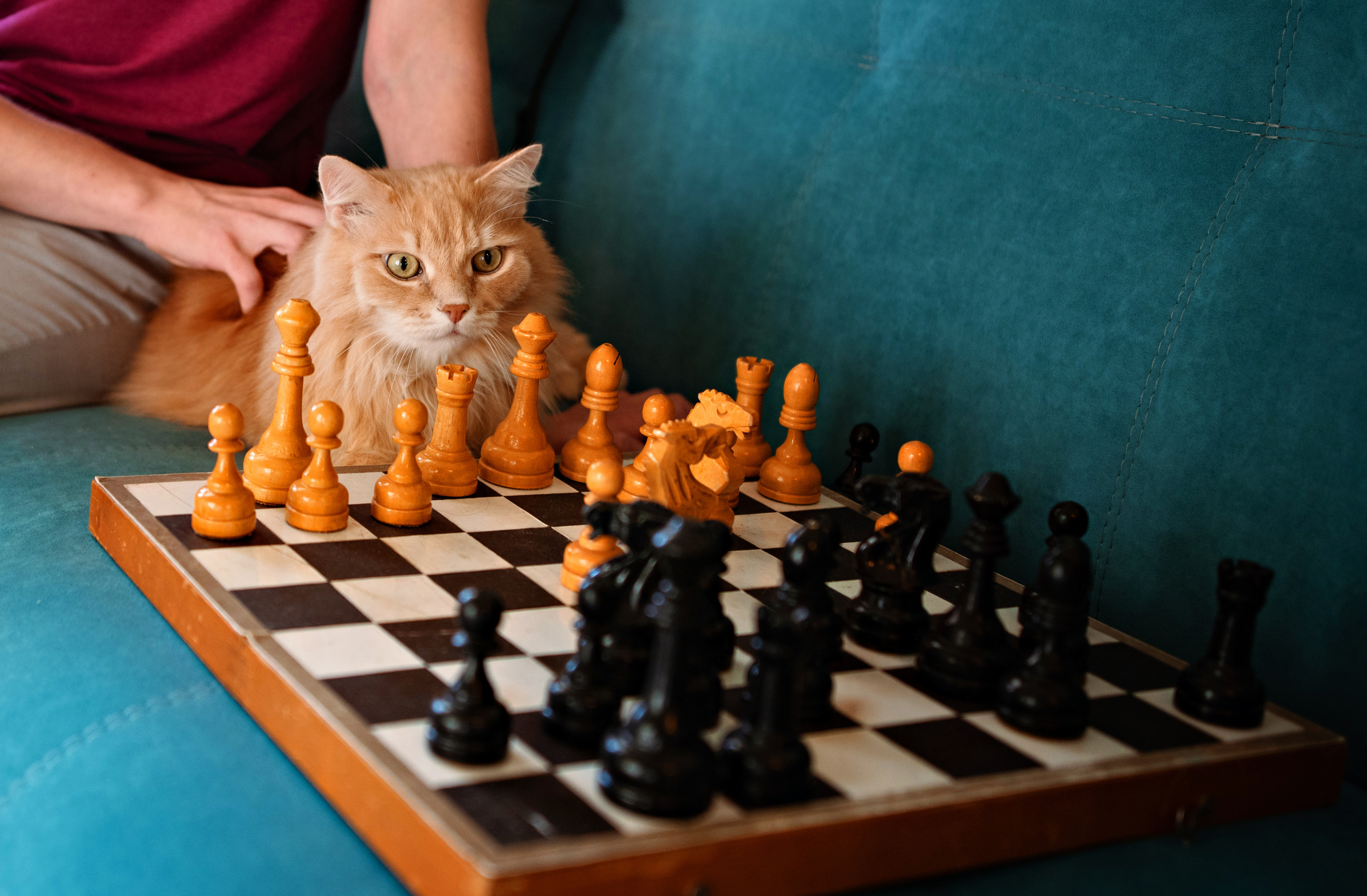 Семья Михаила и Ольги. Агентство личного бренда «Брендовски»