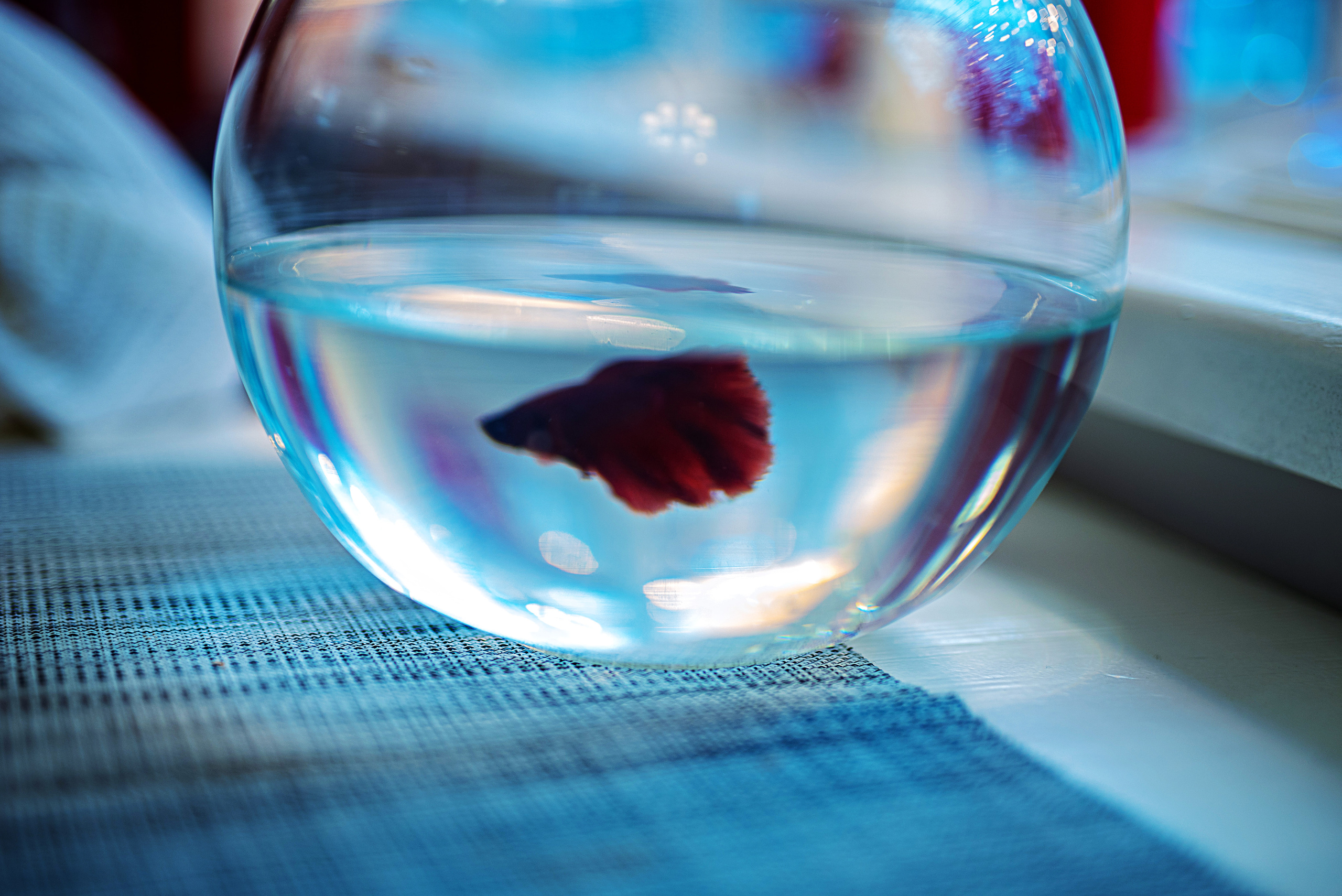 Наталья. Агентство личного бренда «Брендовски»