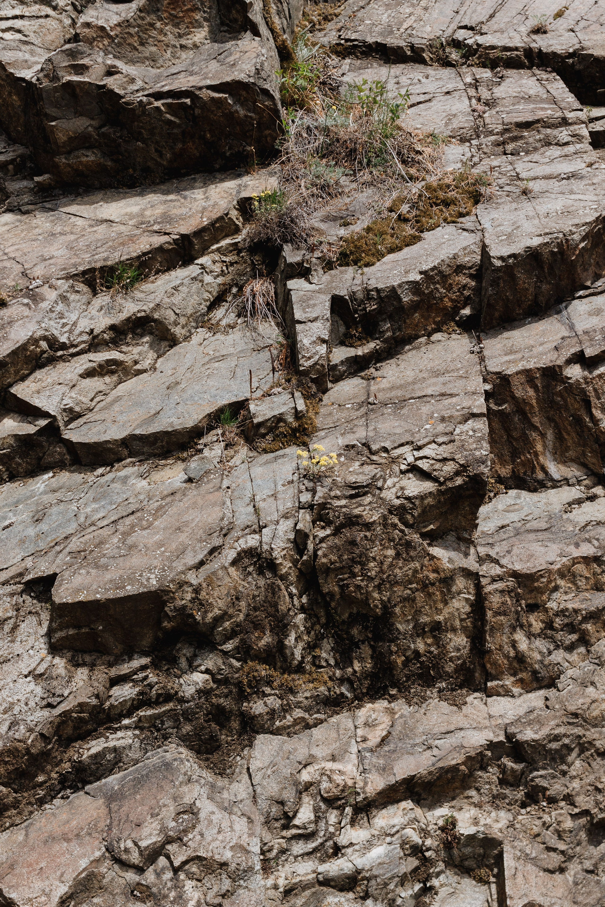 Ретрит на Байкале / Школа Ведических знаний SoVA / 7 дней, 2023. Борщевская Елизавета / фотограф Иркутск