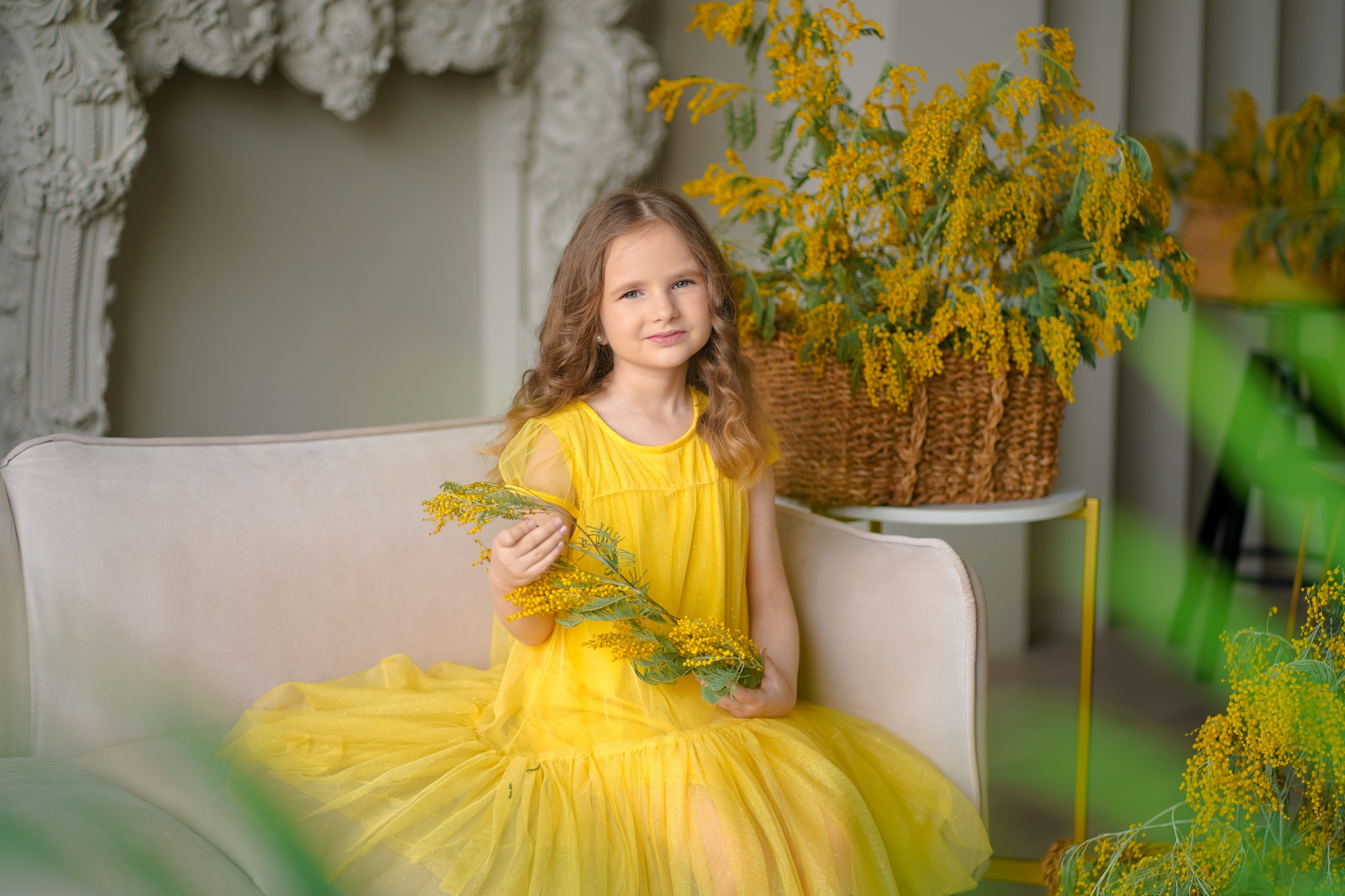 Мимоза. Фотограф Татьяна Митрофанова