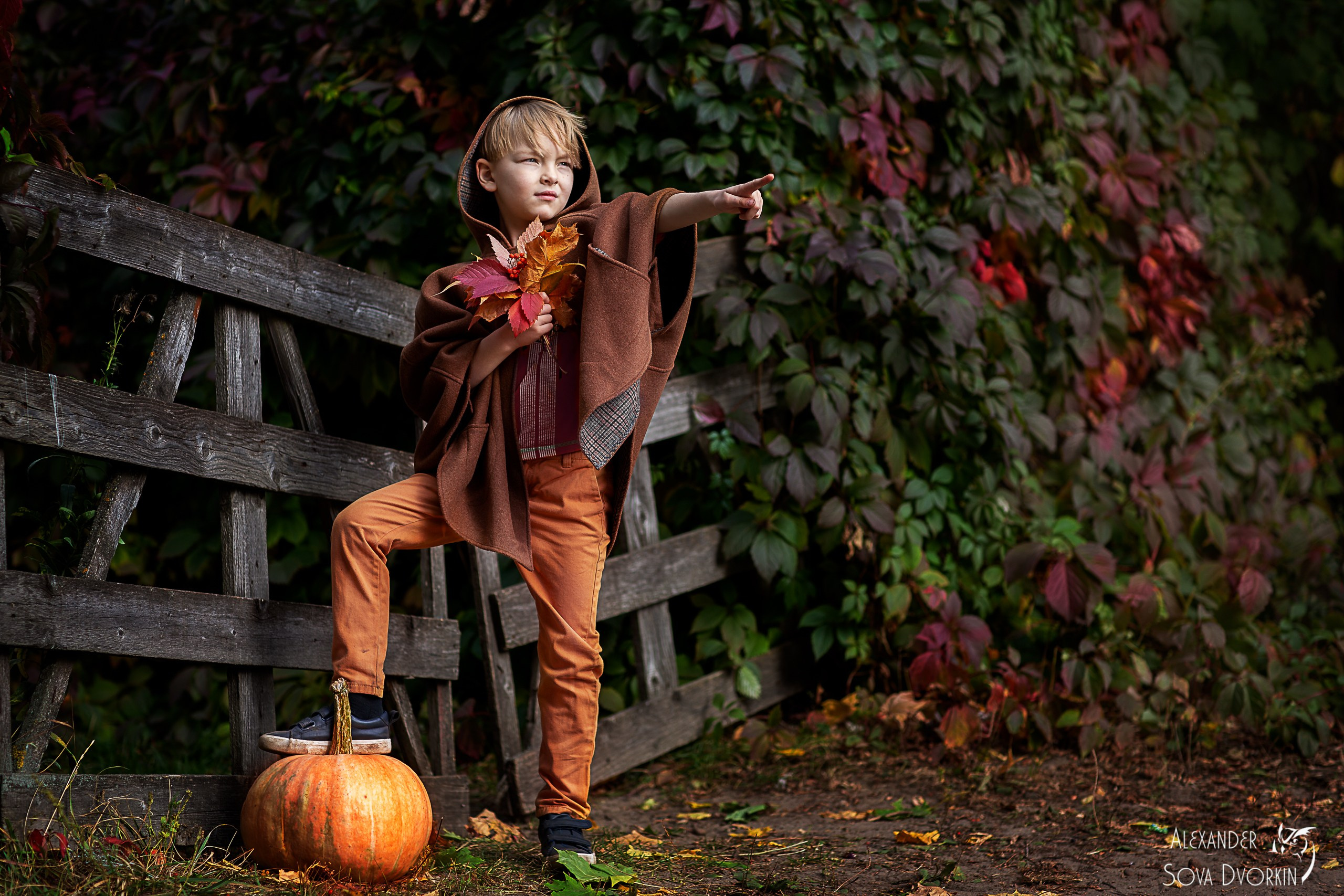 Креативные фотосессии. Семейный и детский фотограф в Москве и Красногорске Александр Дворкин