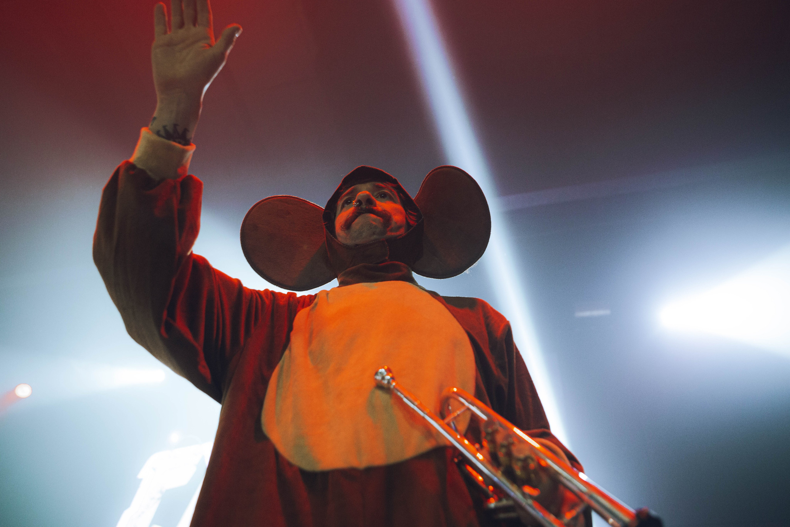 СКОТЫ 20.12.2025. Репортажный и портретный фотограф Михаил Мартиросян