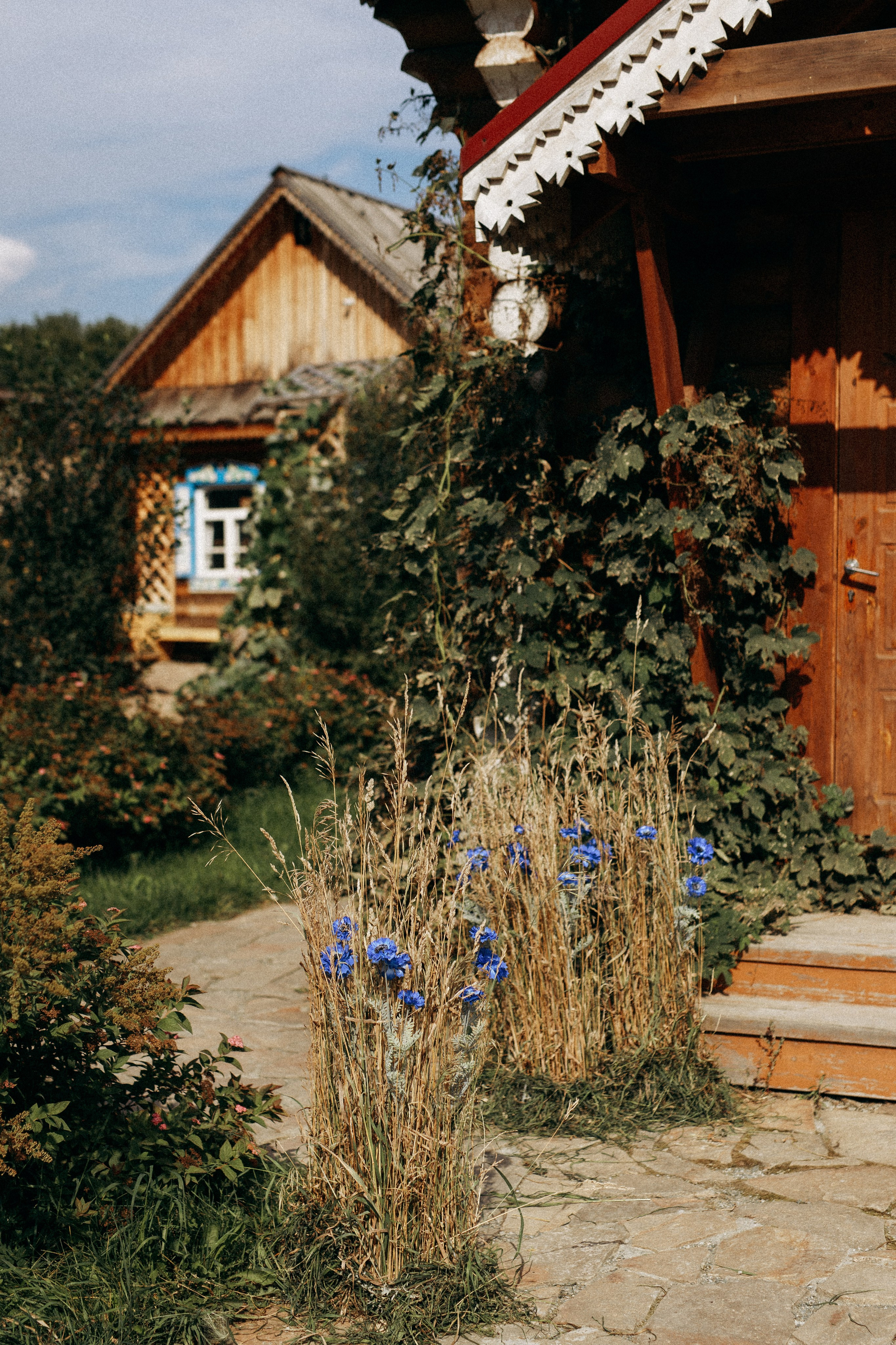 Артем и Виолетта. Свадебный фотограф Балчугова Мария Екатеринбург