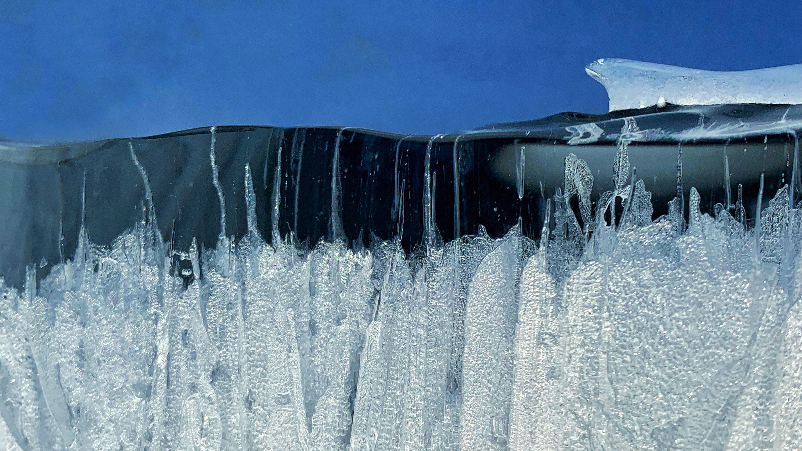 2022. Тащилин Сергей. Фотографии. Жизнь. Хобби