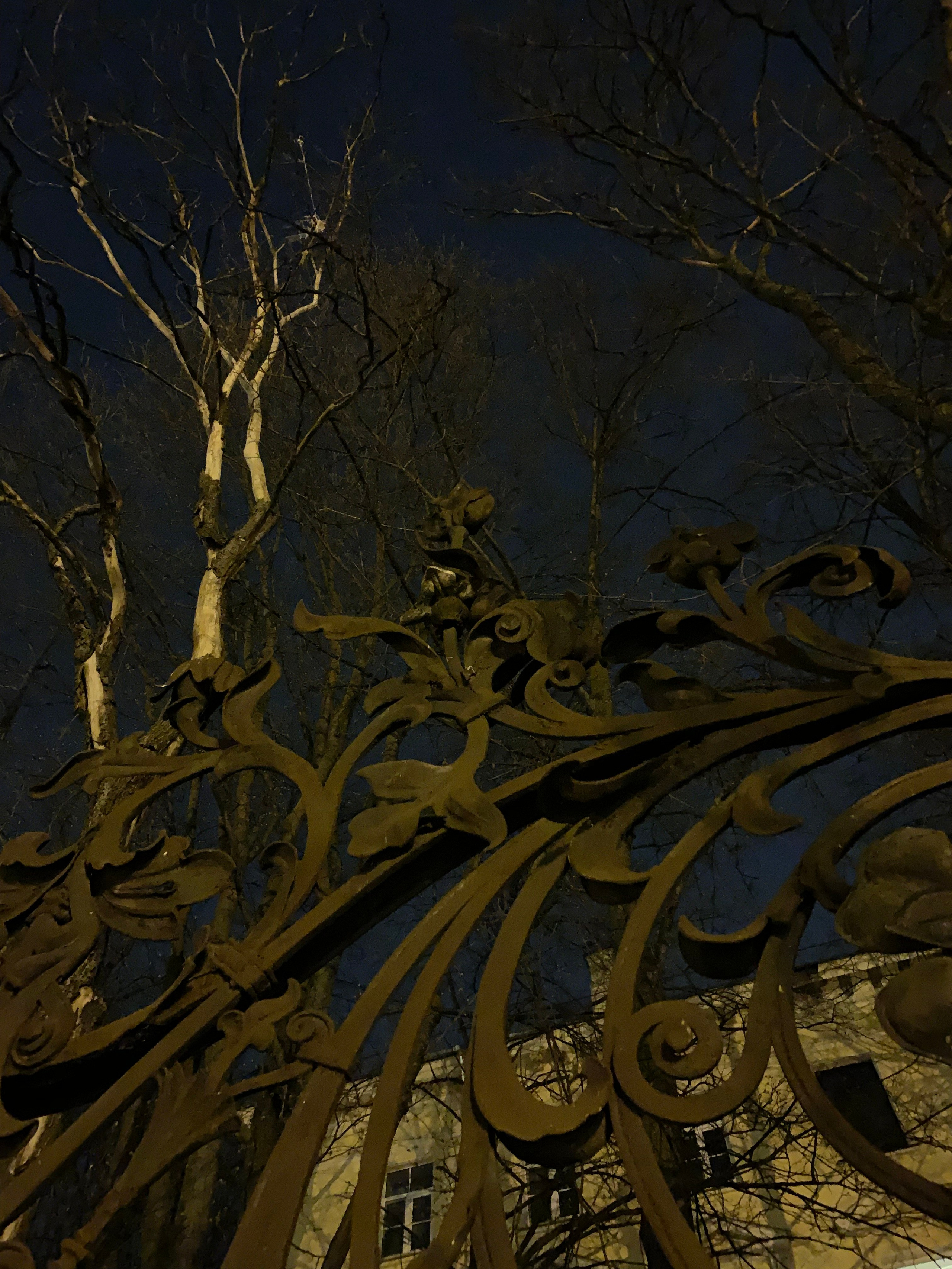 2019 год. Тащилин Сергей. Фотографии. Жизнь. Хобби