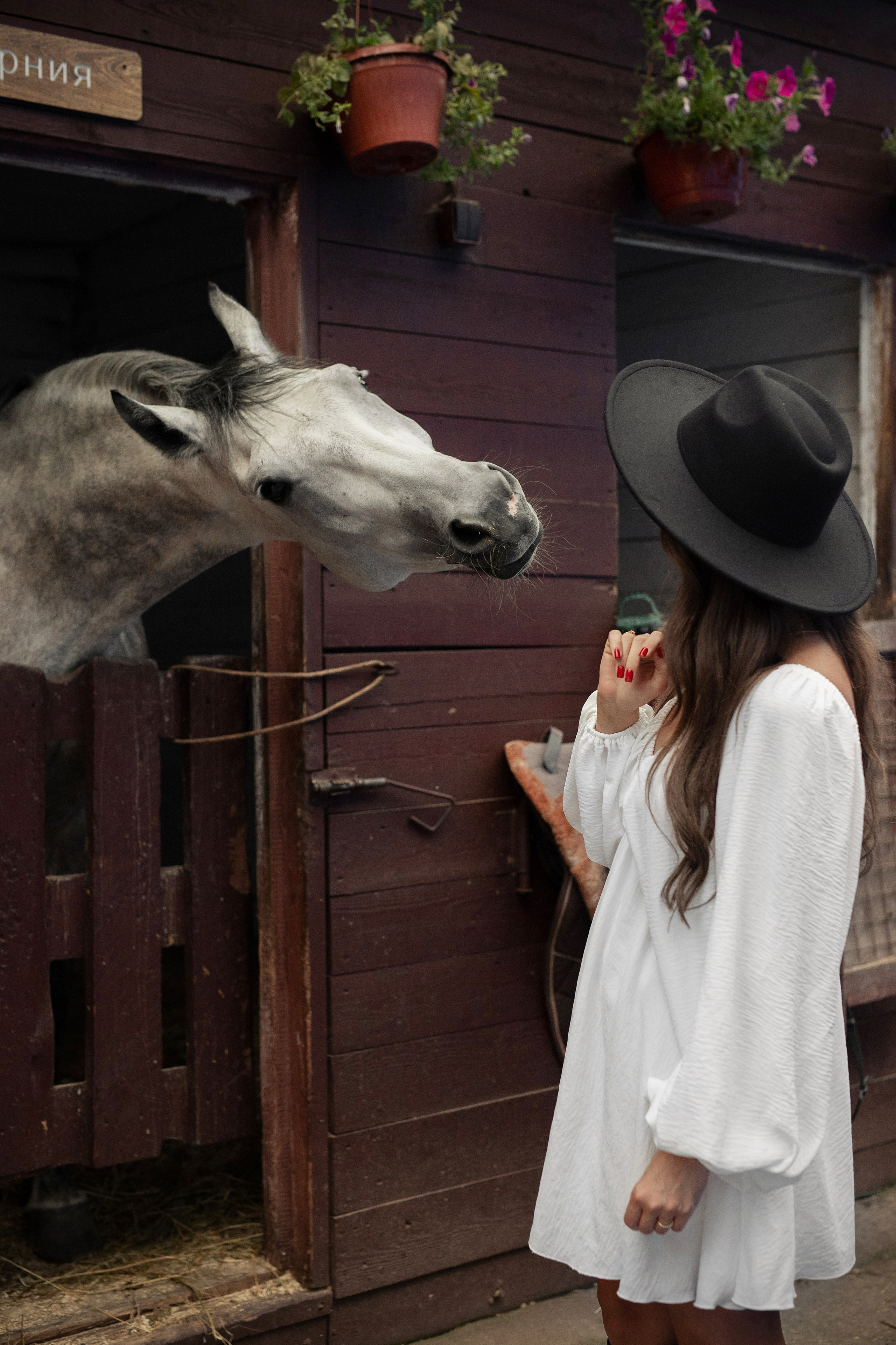 Вероника. Таня Давтян фотограф в Новосибирске