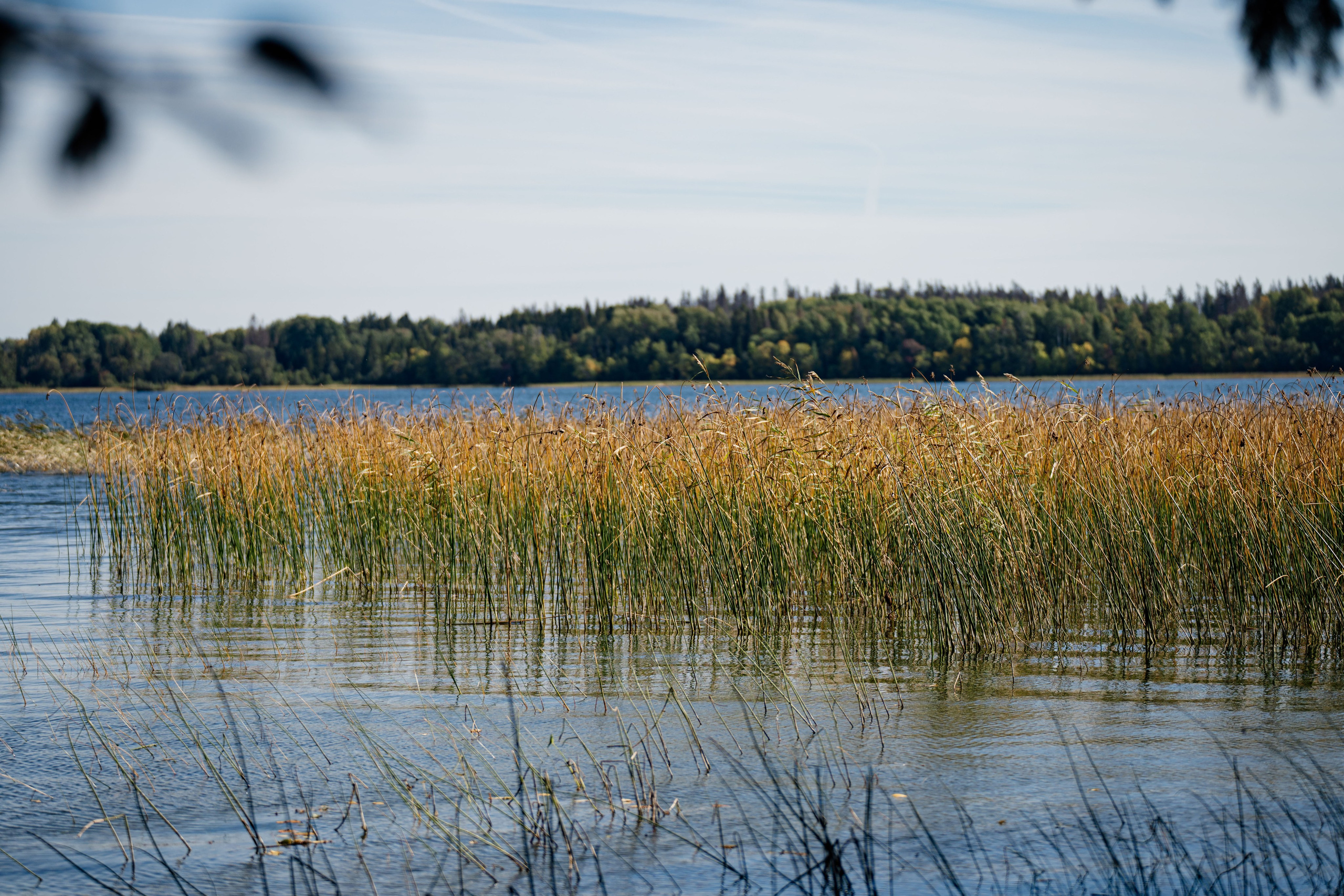 СЕВЕР. Event фотограф Степанова Александра