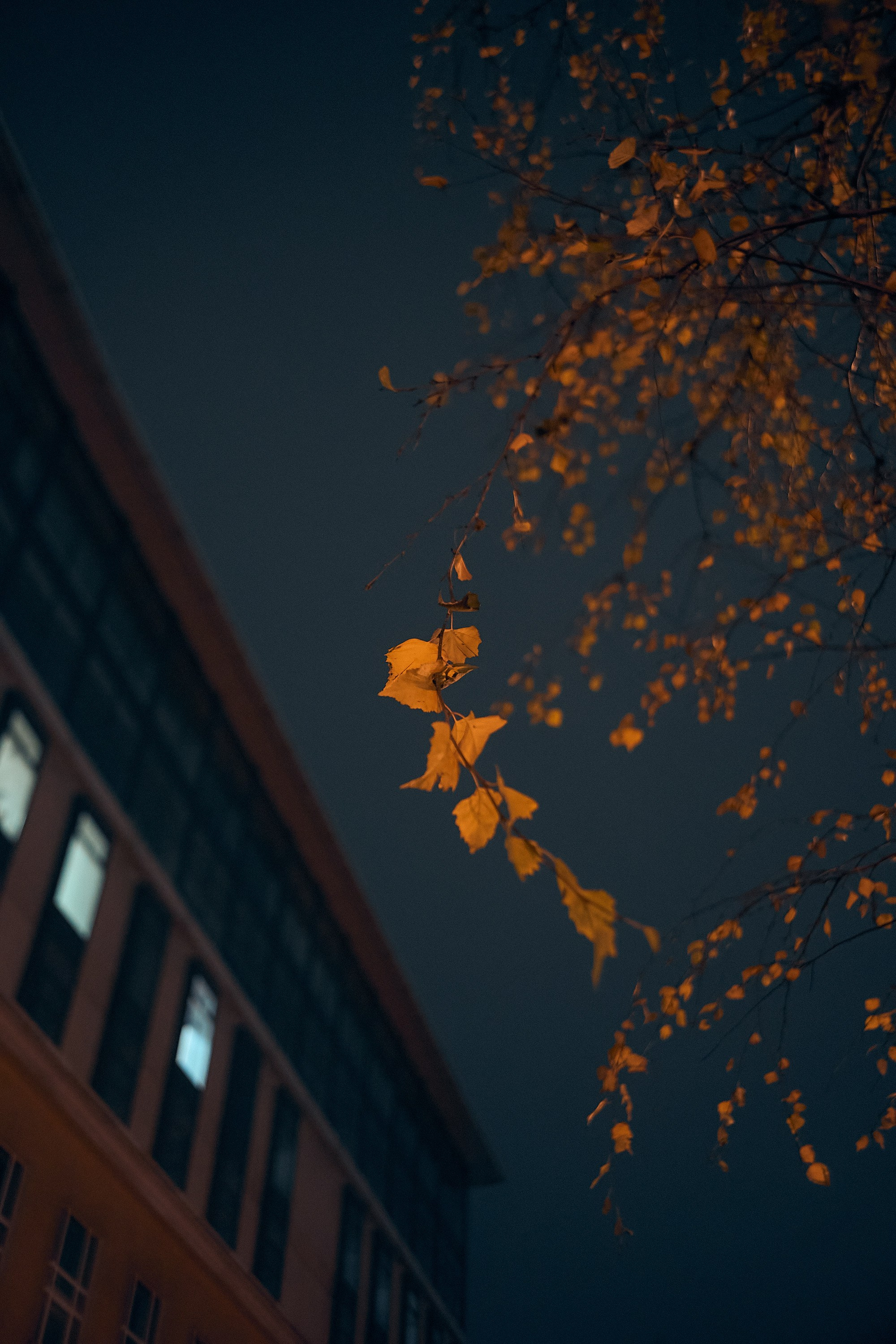 Москва. Фотограф и оператор мероприятий, концертов и портретов в городе Москва