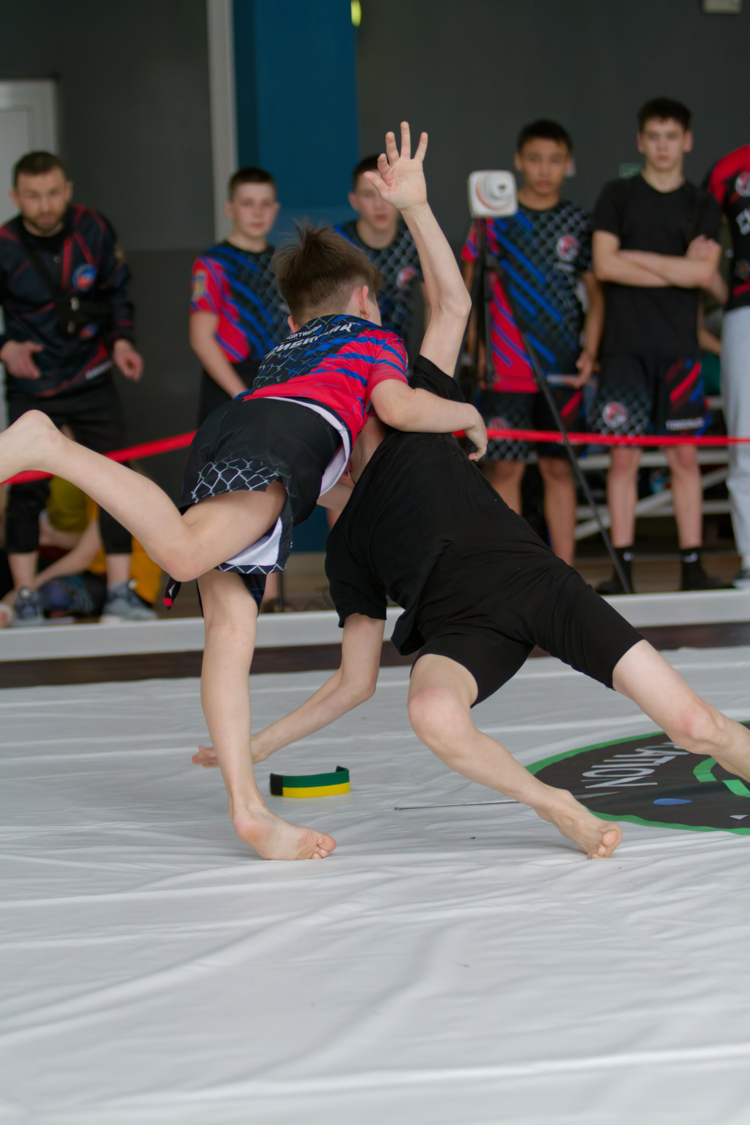 Борьба. Джиу-джитсу 26.04.2025. Репортажный и спортивный фотограф в г. Пермь Зильберг Павел