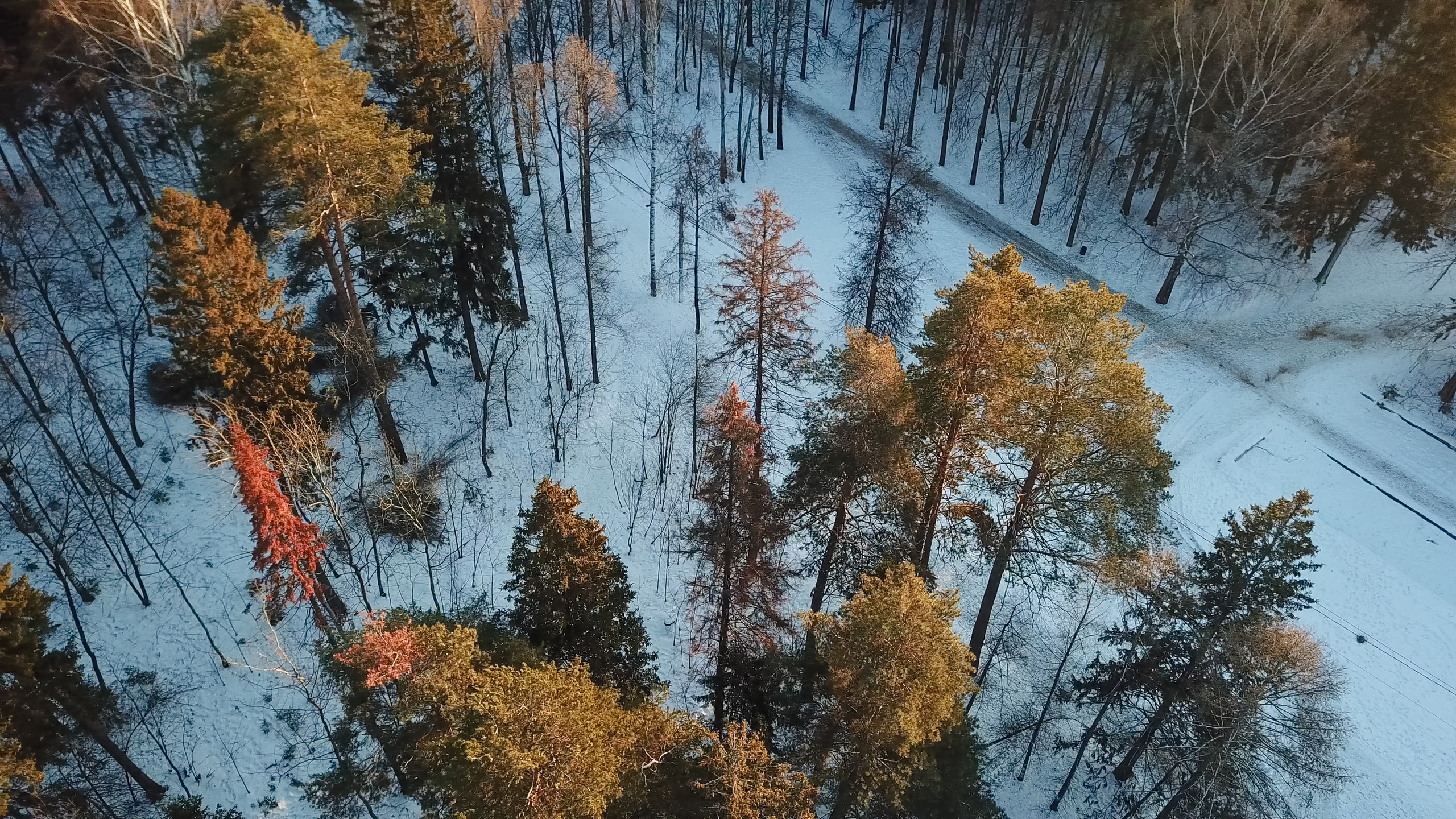 Свадьба Дмитрия и Алёны. Фотограф Станислав Петров. Trend Media Group