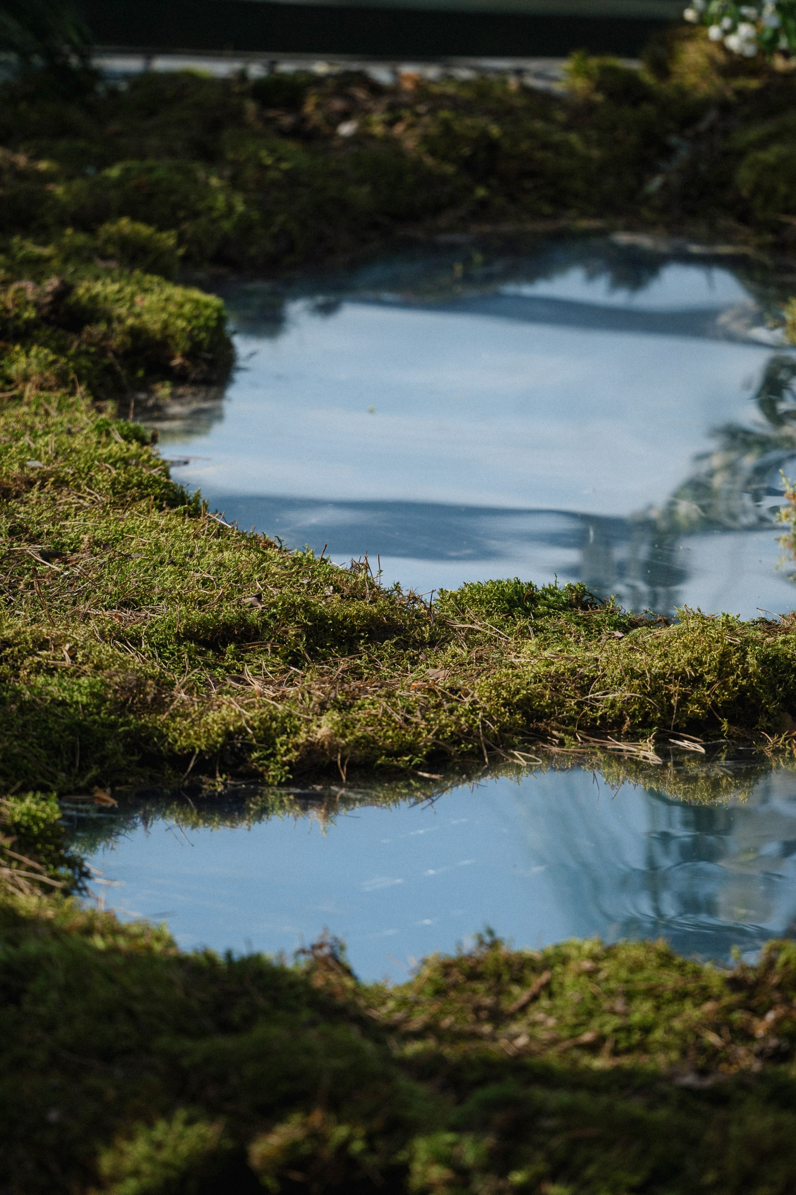 23/05/2025. Фотограф Томск, Новосибирск Влад Свириденко