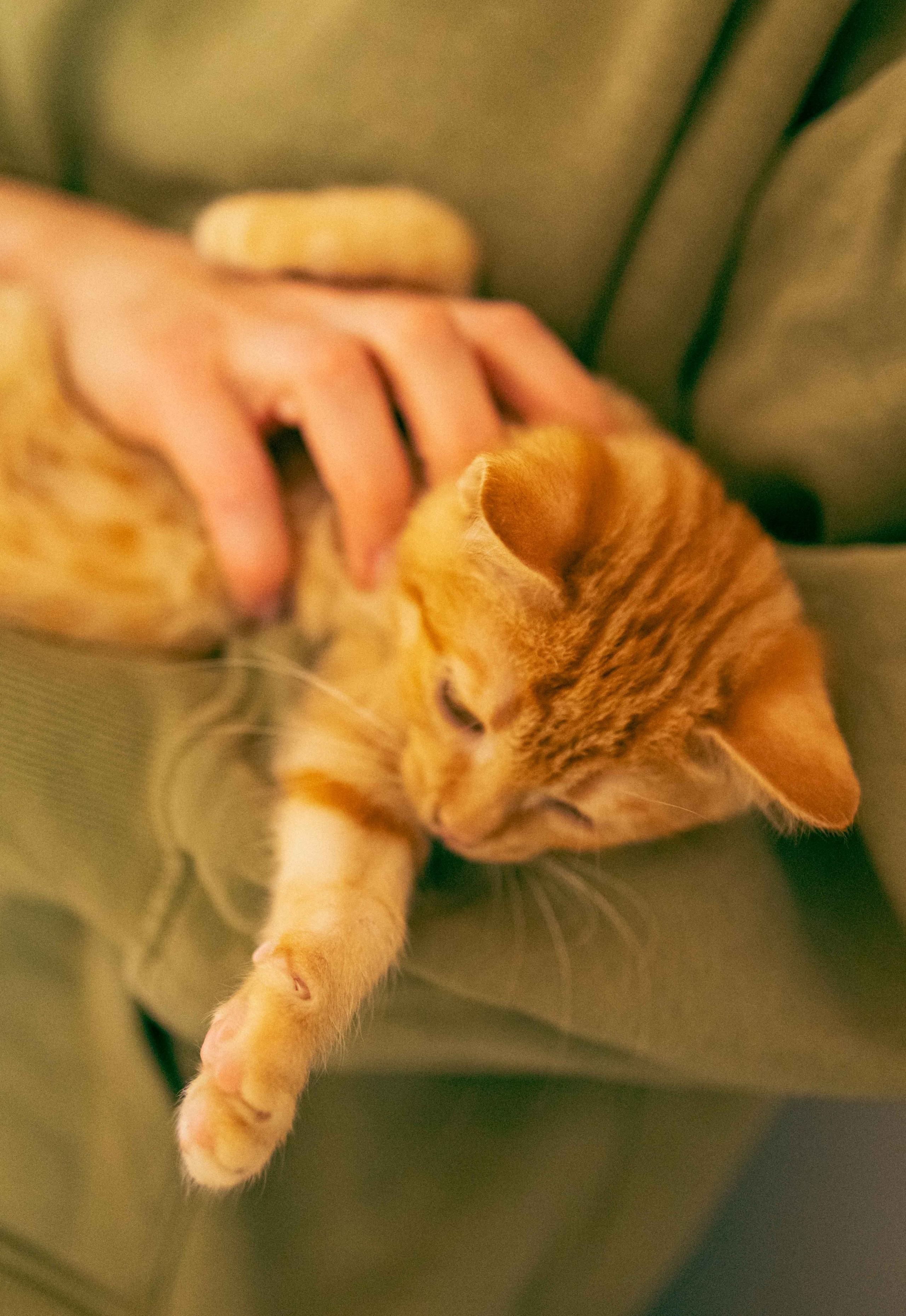 Кускус. Фотограф-анималист в Москве Лера Черноног