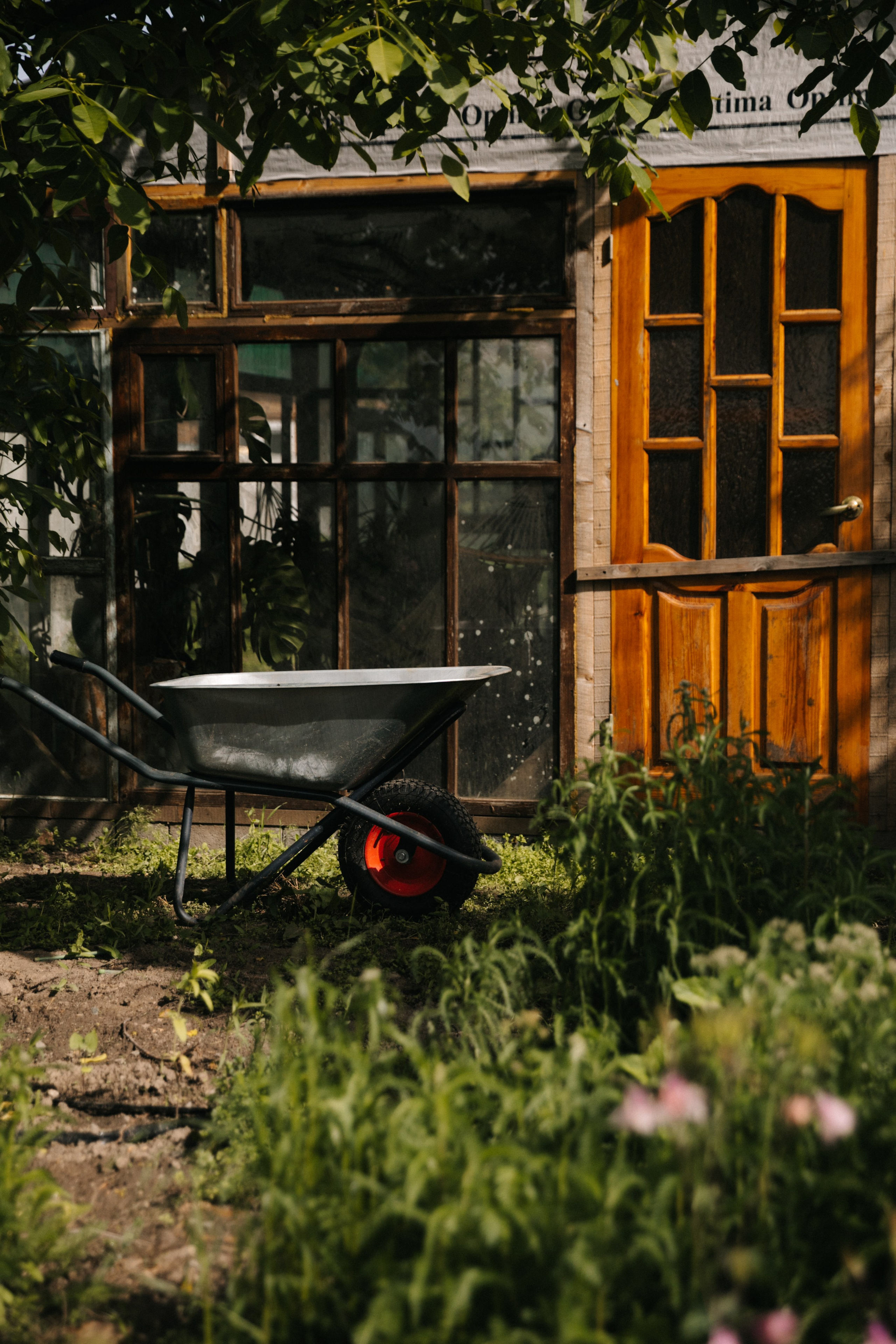 Ферма. Свадебный и семейный фотограф Василина Батищева в Моздоке, Северной Осетии и КМВ