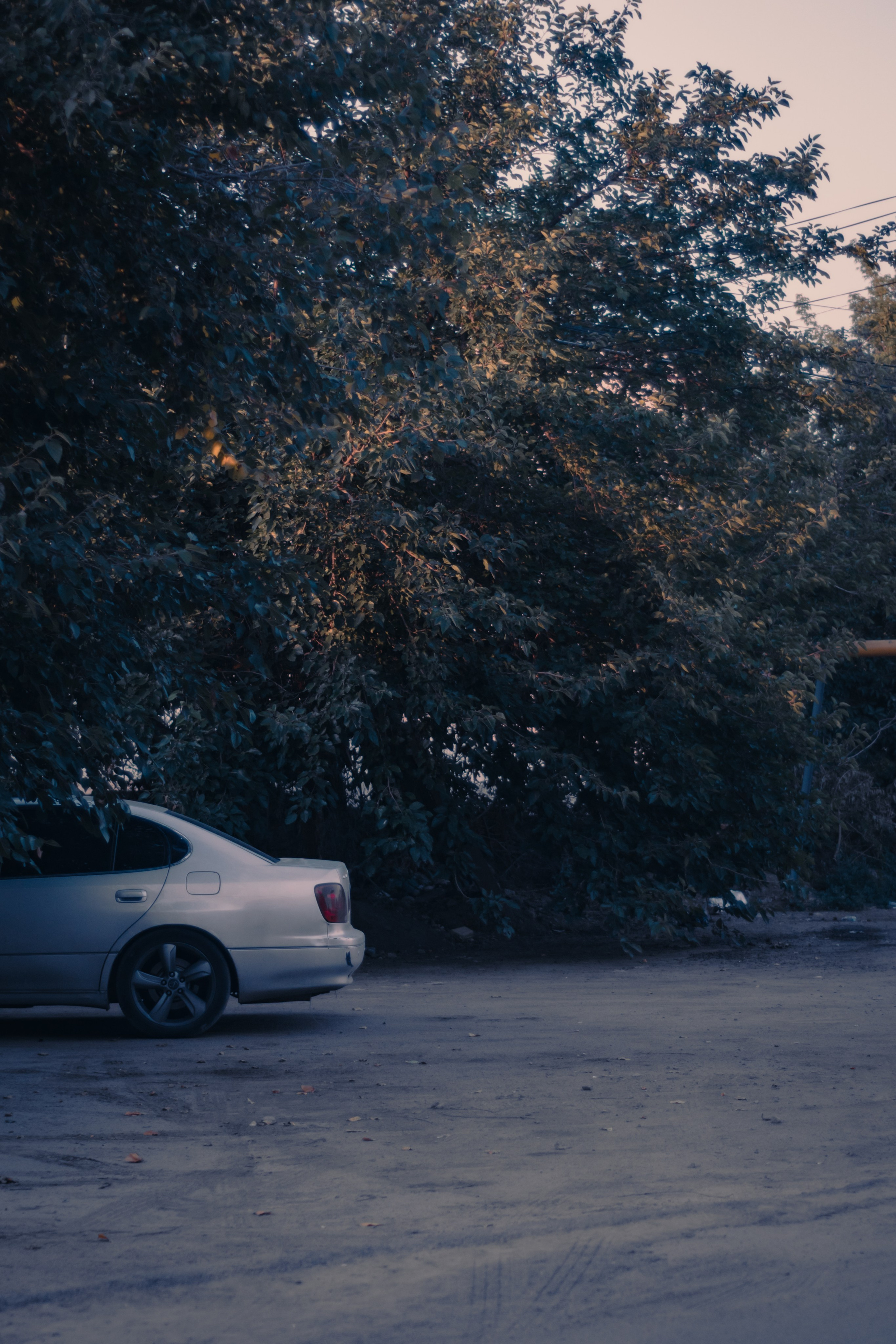 Визуальный дневник. Репортажный фотограф в Алматы Цой Сергей