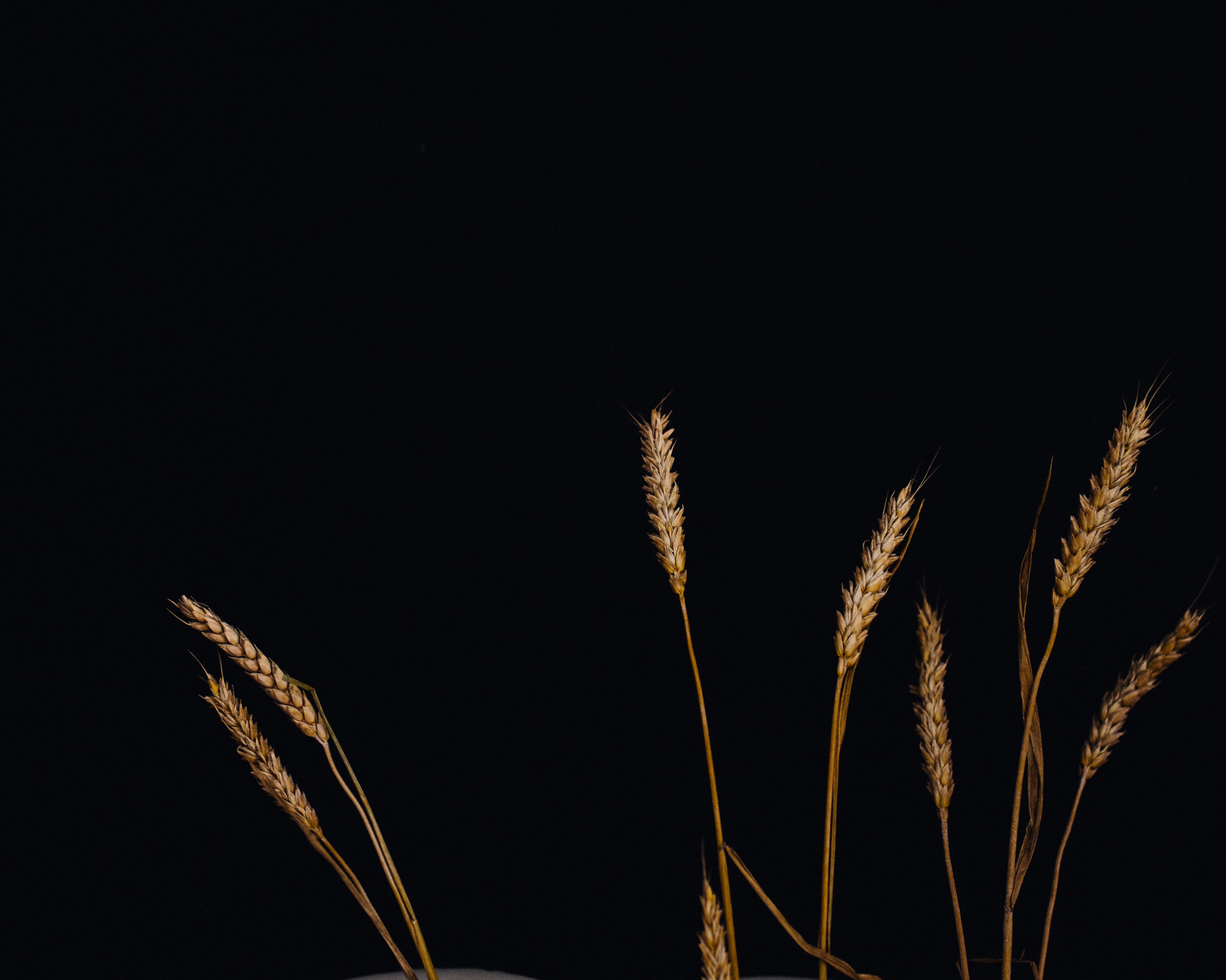 Ты просто космос, Стас!. Свадебный фотограф в Краснодаре и Сочи Винидиктова Екатерина