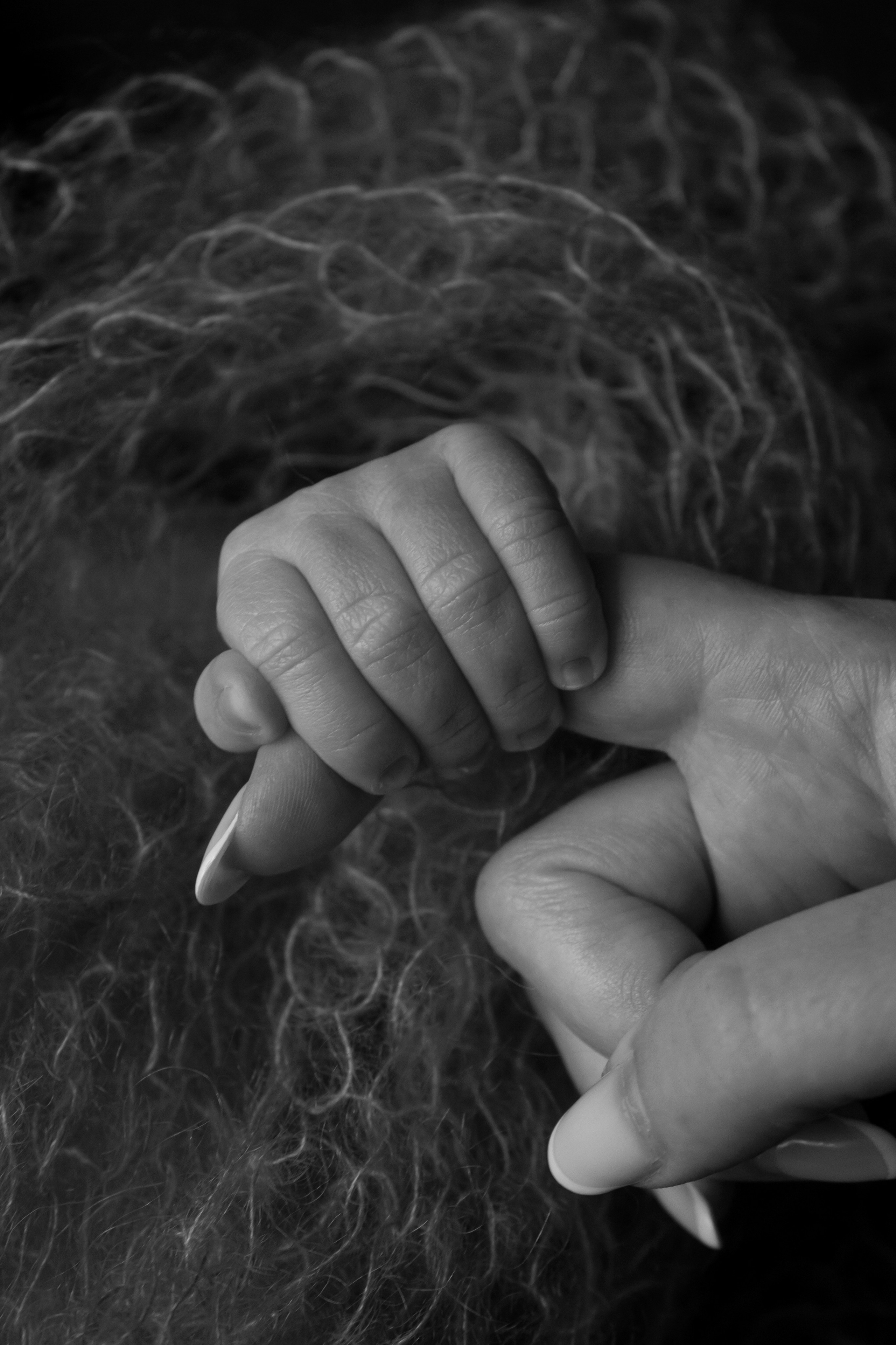 Newborn. Фотограф новорожденных Новосибирск