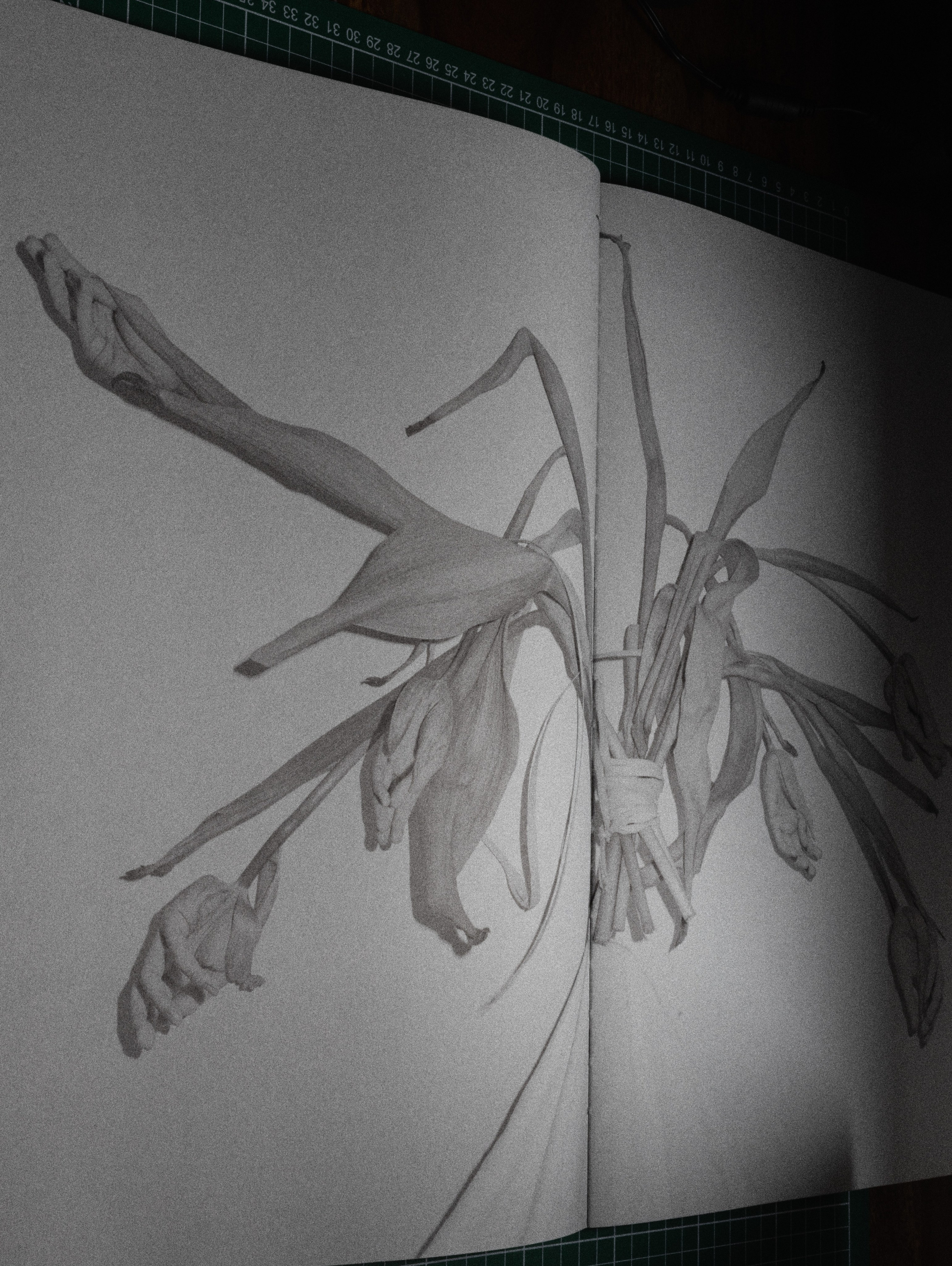 Фотокнижная библиотека Светы Кавериной. Фотограф и исследователь фотографии из Санкт-Петербурга Елизавета Веприцкая