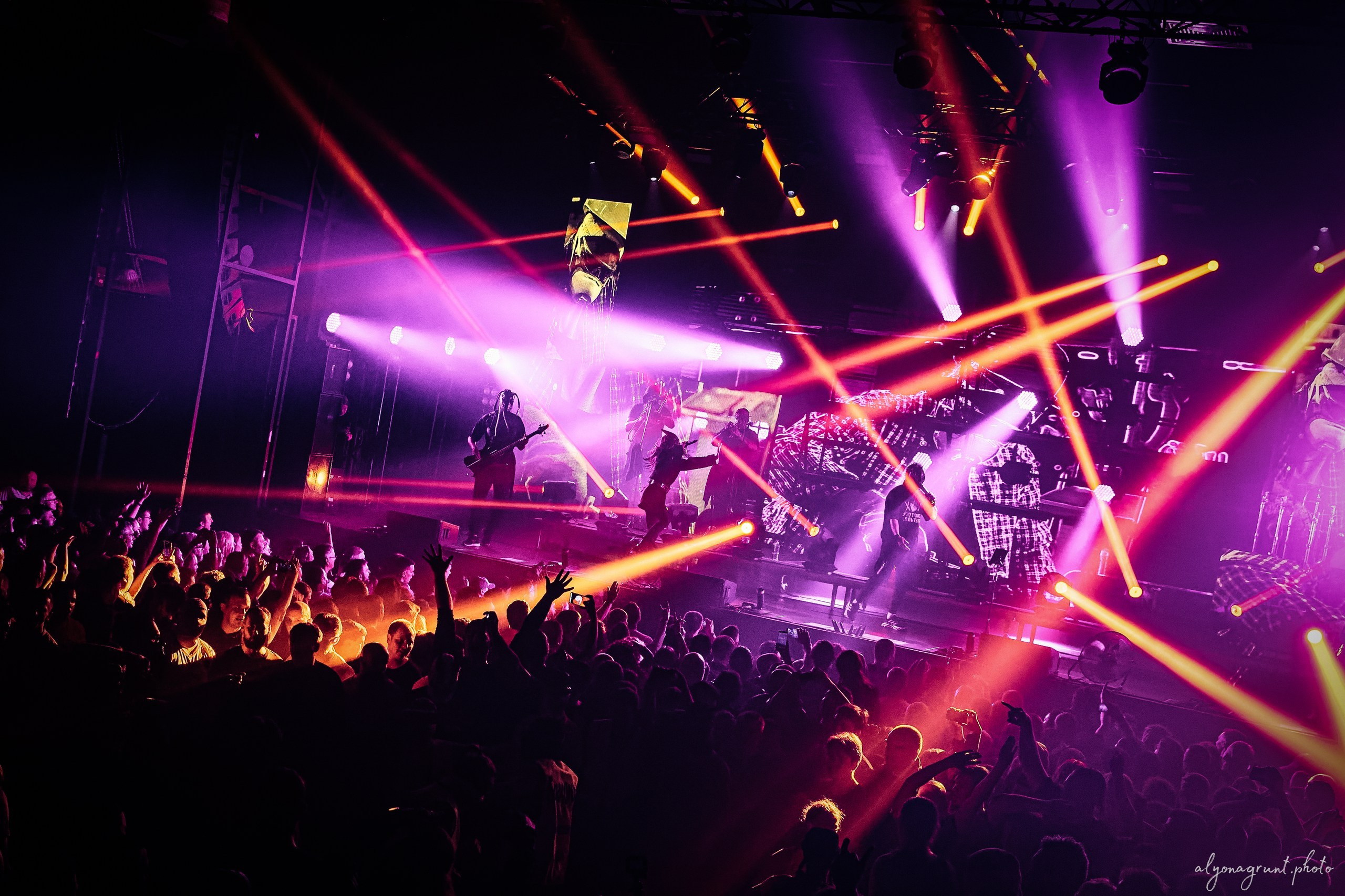 Пневмослон, фоторепортаж СПб, A2,17.10.2025. Алена Адрианова: фотограф в Санкт-Петербурге